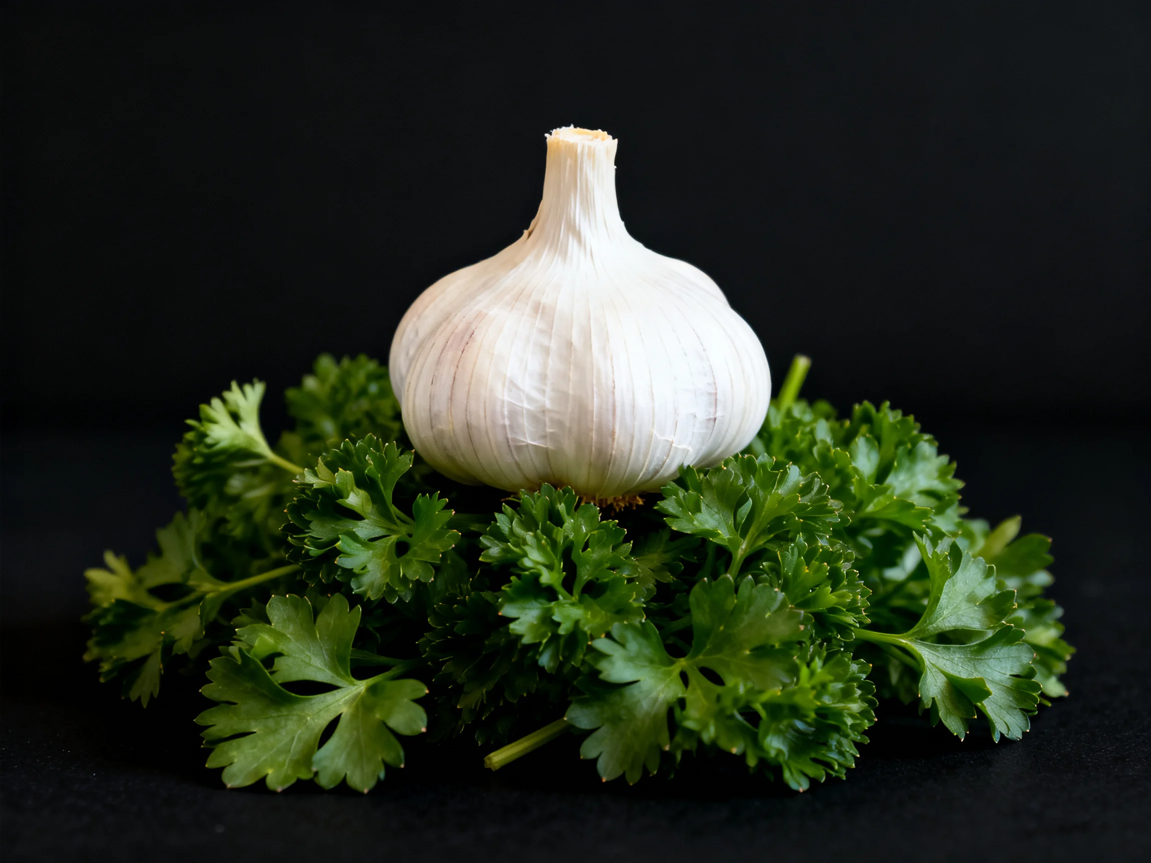 A single white garlic bulb surrounded by lush green herb foliage on a black surface