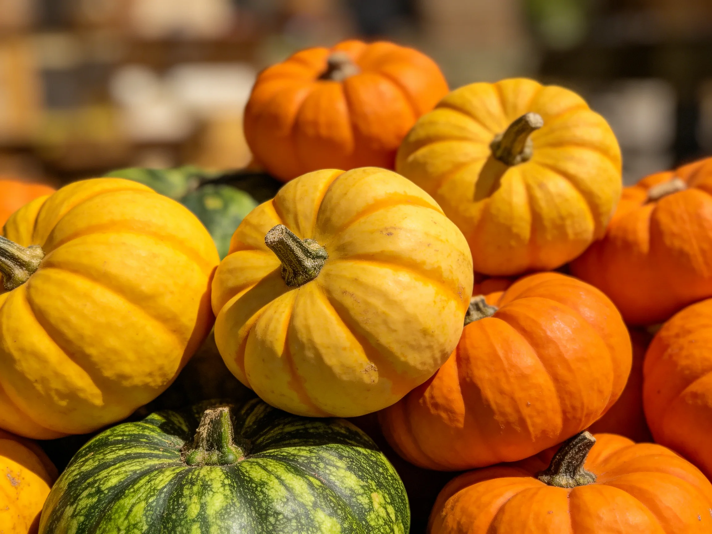 A vibrant collection of small pumpkins in orange, yellow, and green shades