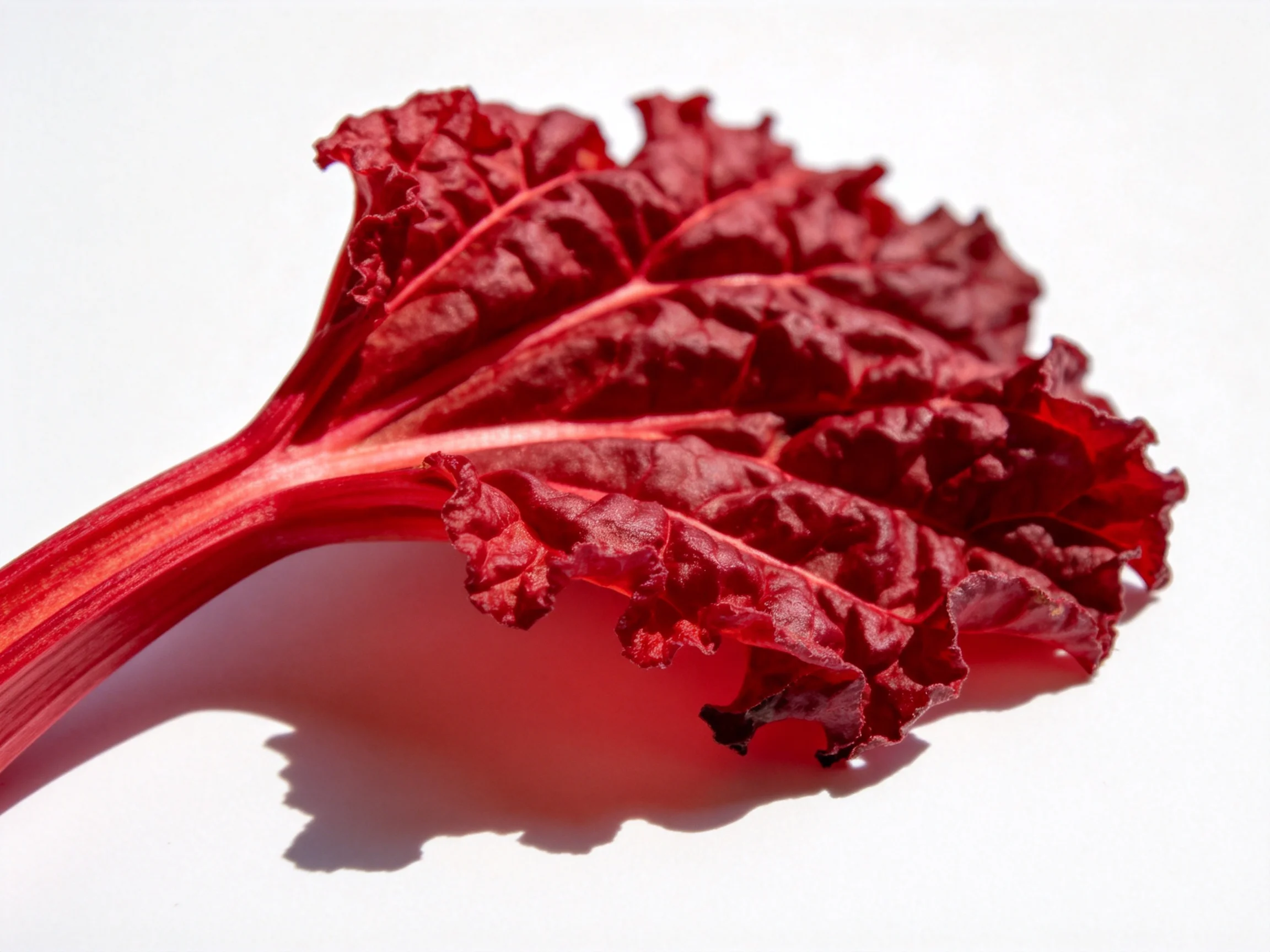 A vibrant red leafy vegetable with ruffled edges and a long reddish stem