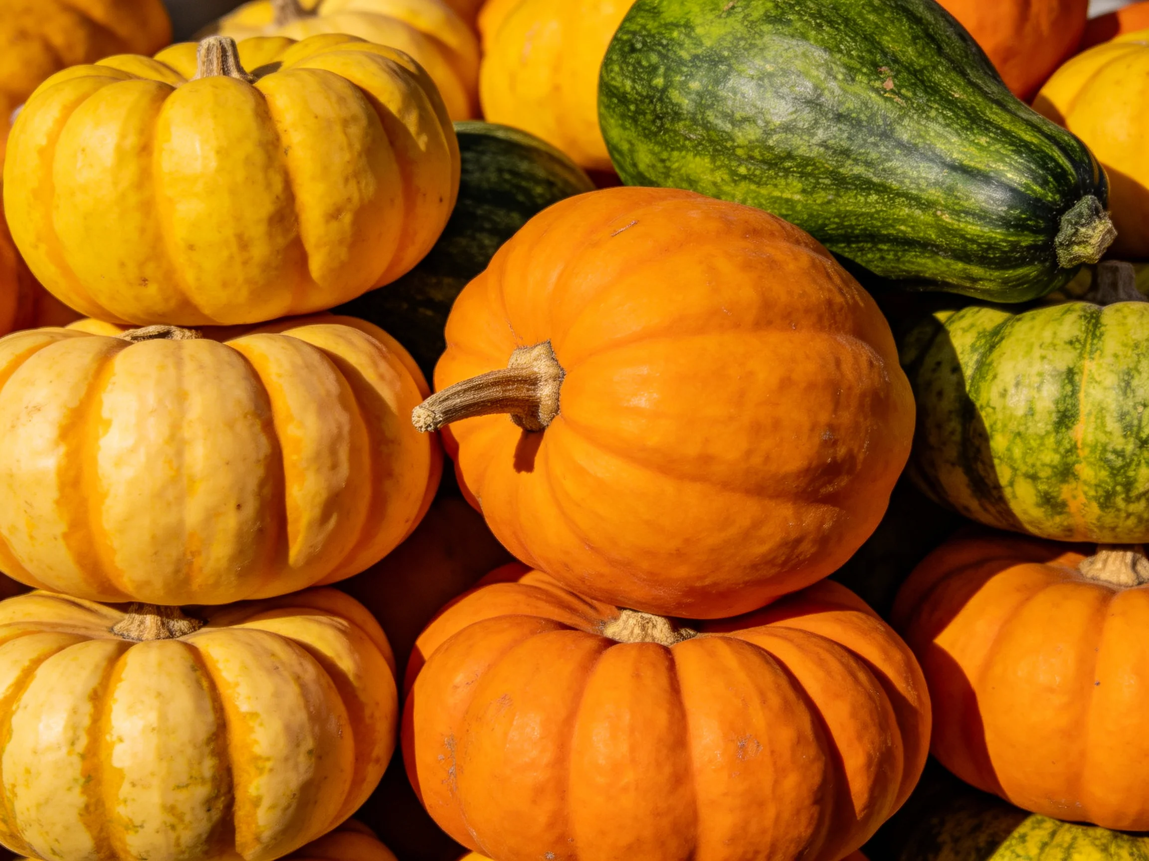 A vibrant stack of assorted small pumpkins and green squash