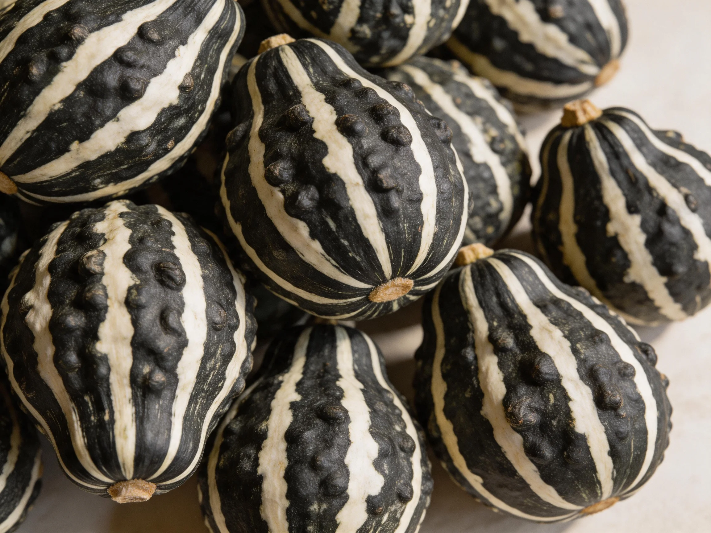 Black and white striped gourds with bumpy textures clustered together