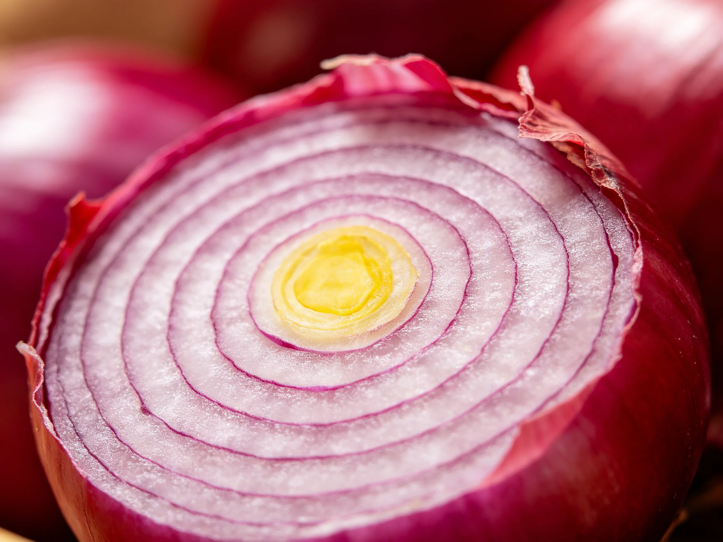 Close-up view of a sliced red onion with vibrant purple and white concentric rings