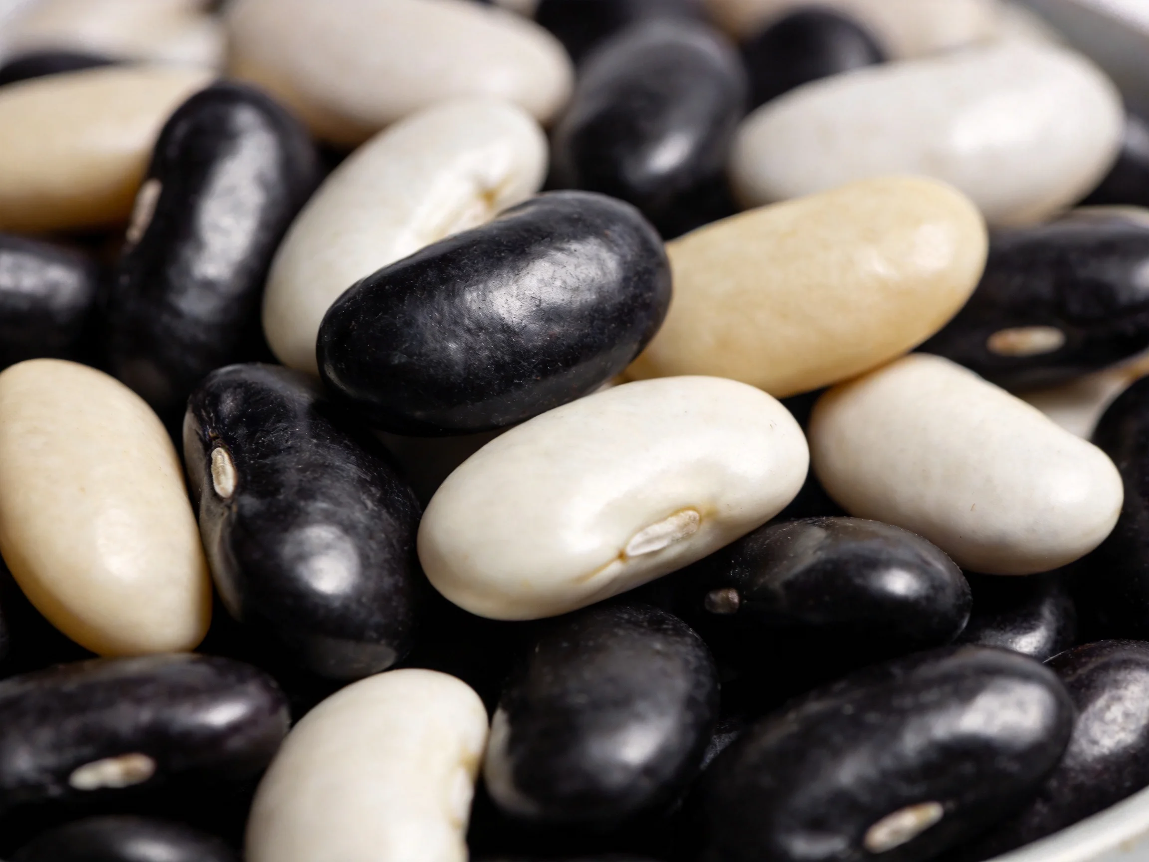Close-up view of assorted black, white, and beige beans clustered together