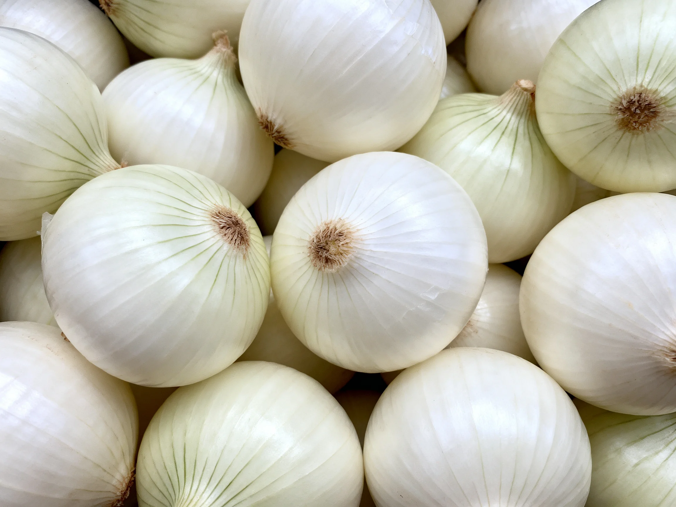 Close-up view of numerous fresh white onions stacked densely
