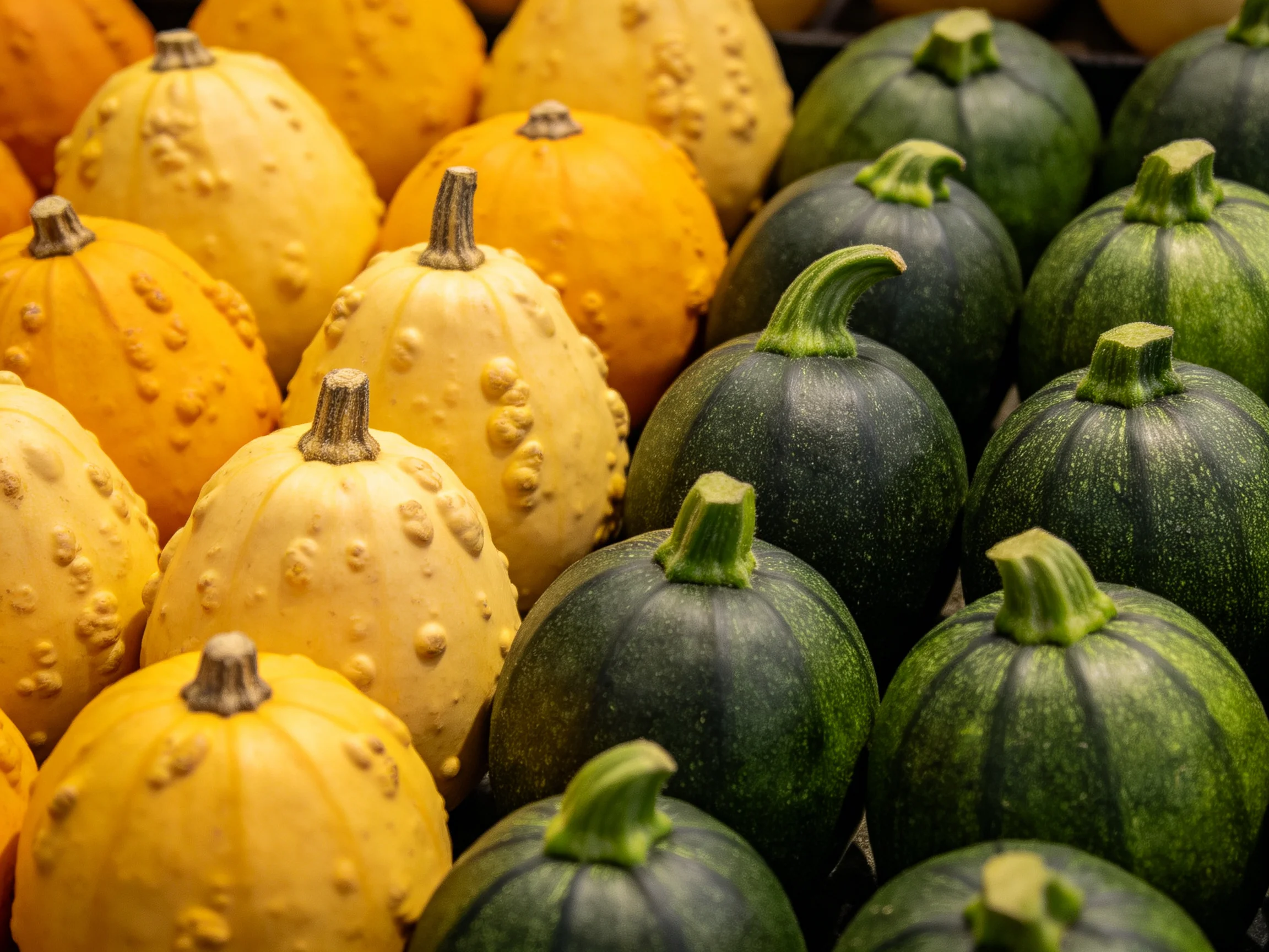 Colorful arrangement of small round squashes in yellow, orange, and green varieties