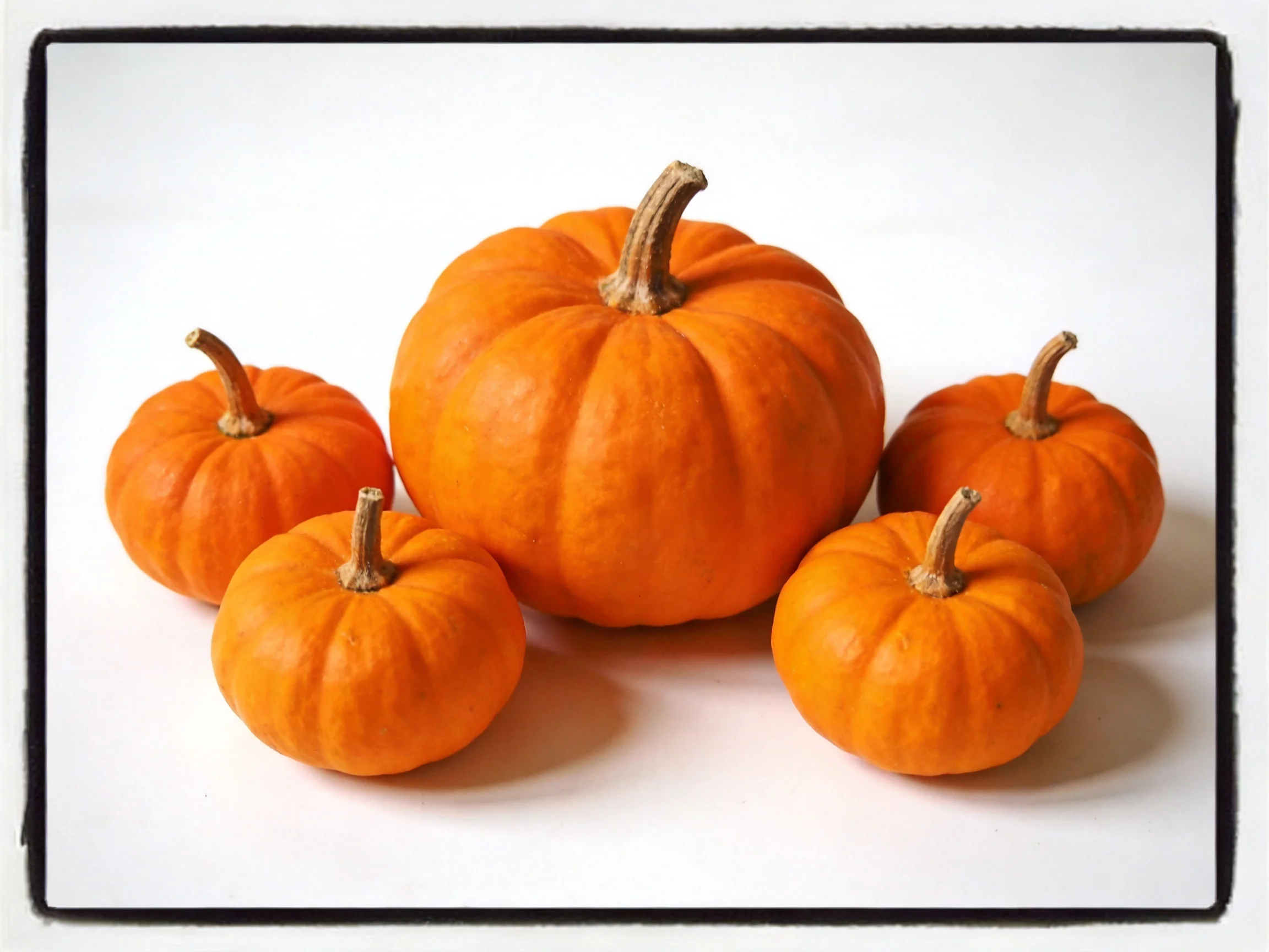 Five bright orange pumpkins with one larger, clustered together.