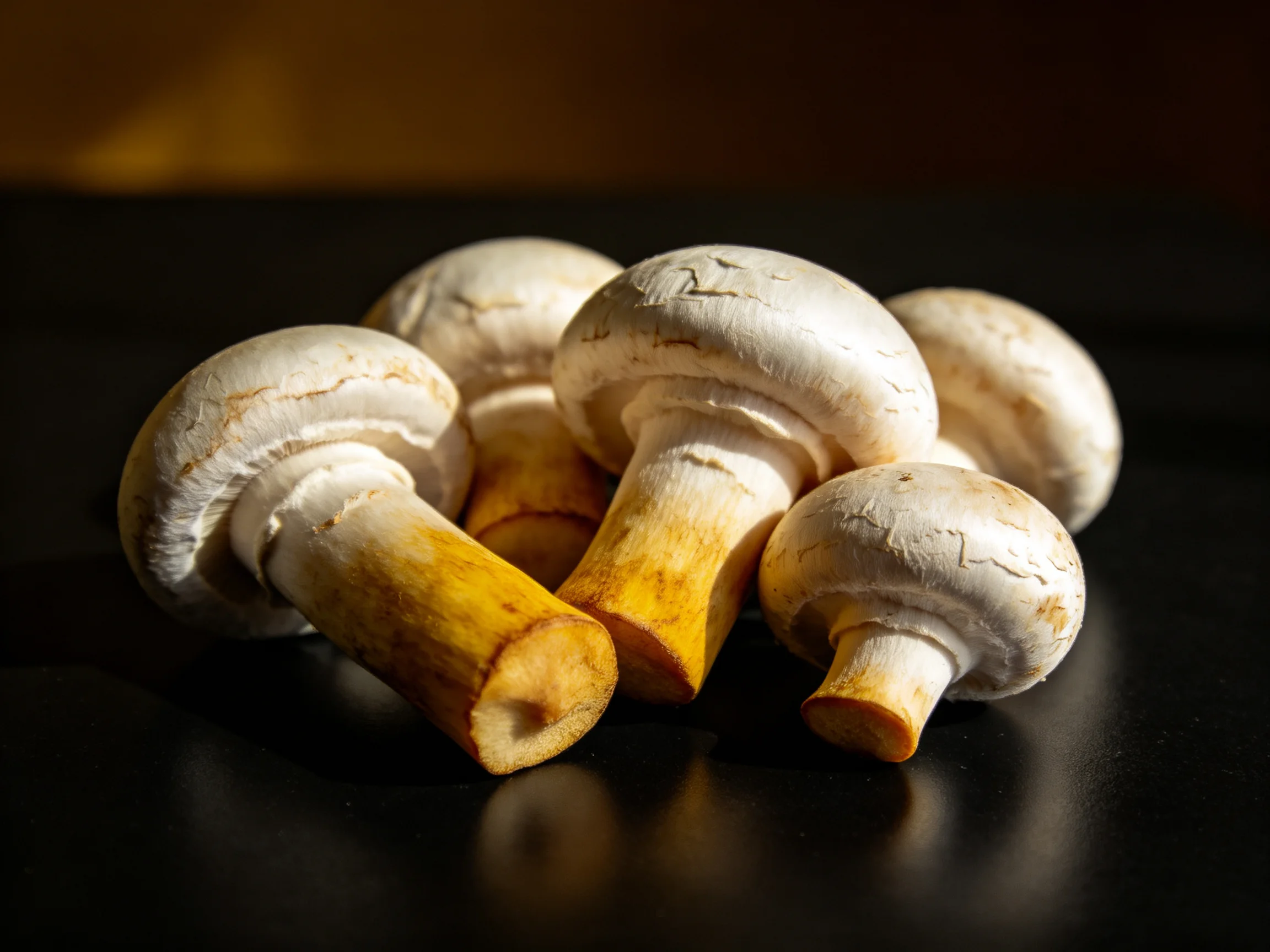 Five fresh button mushrooms with yellow stems arranged closely together
