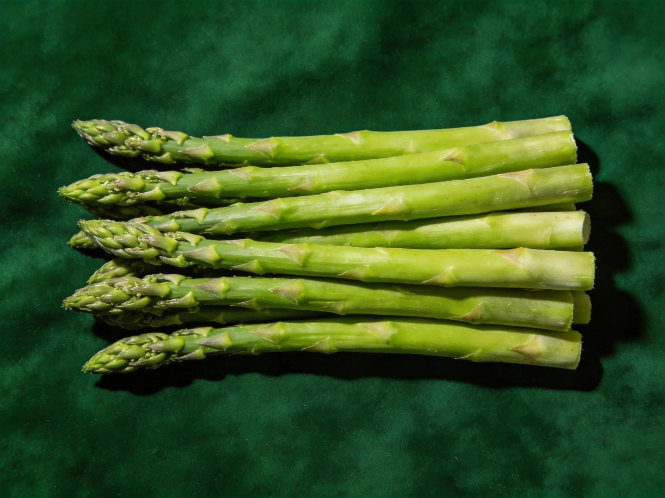 Five fresh green asparagus spears displayed on a dark green fabric