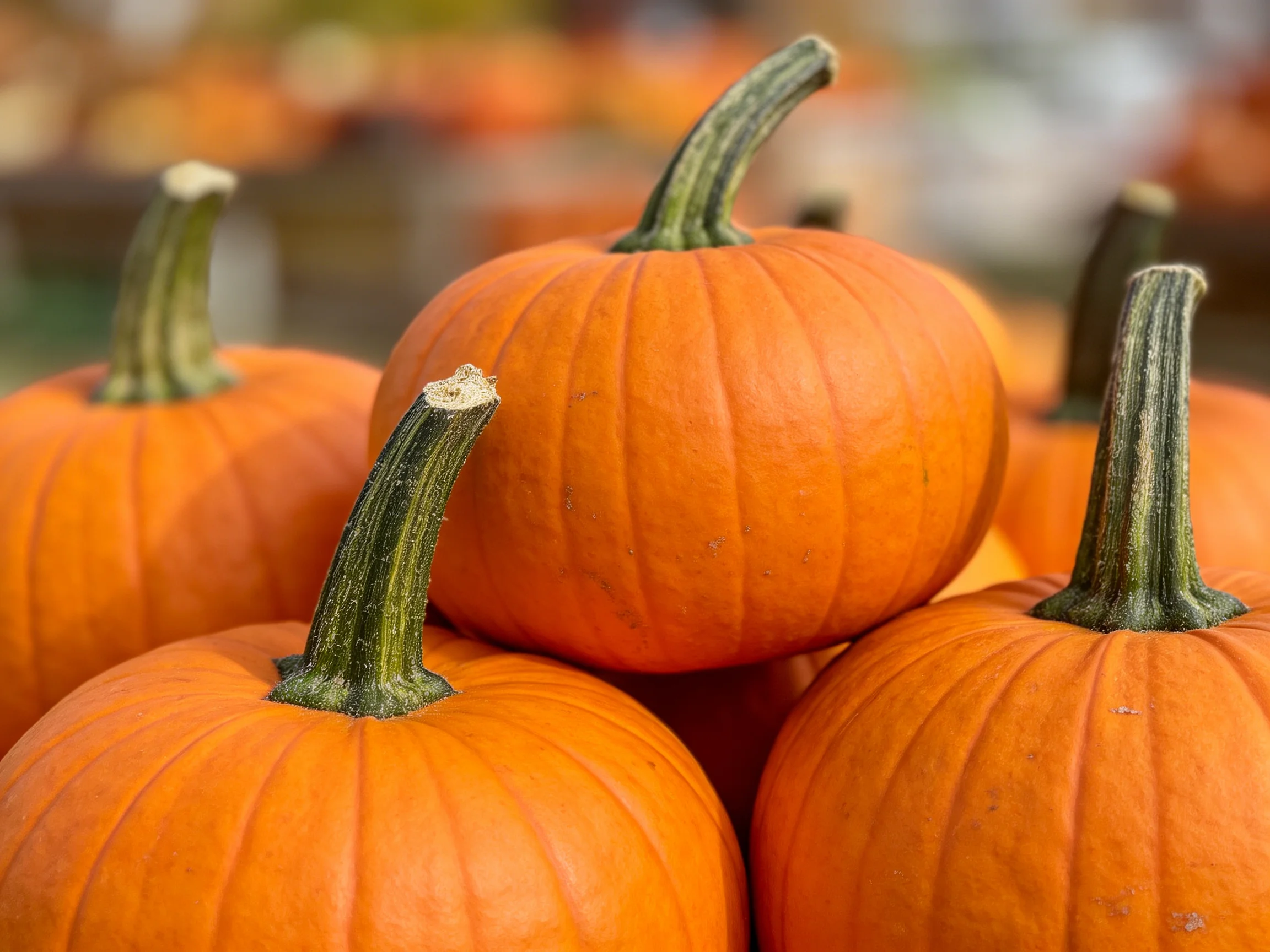 Five vibrant orange pumpkins stacked with green stems