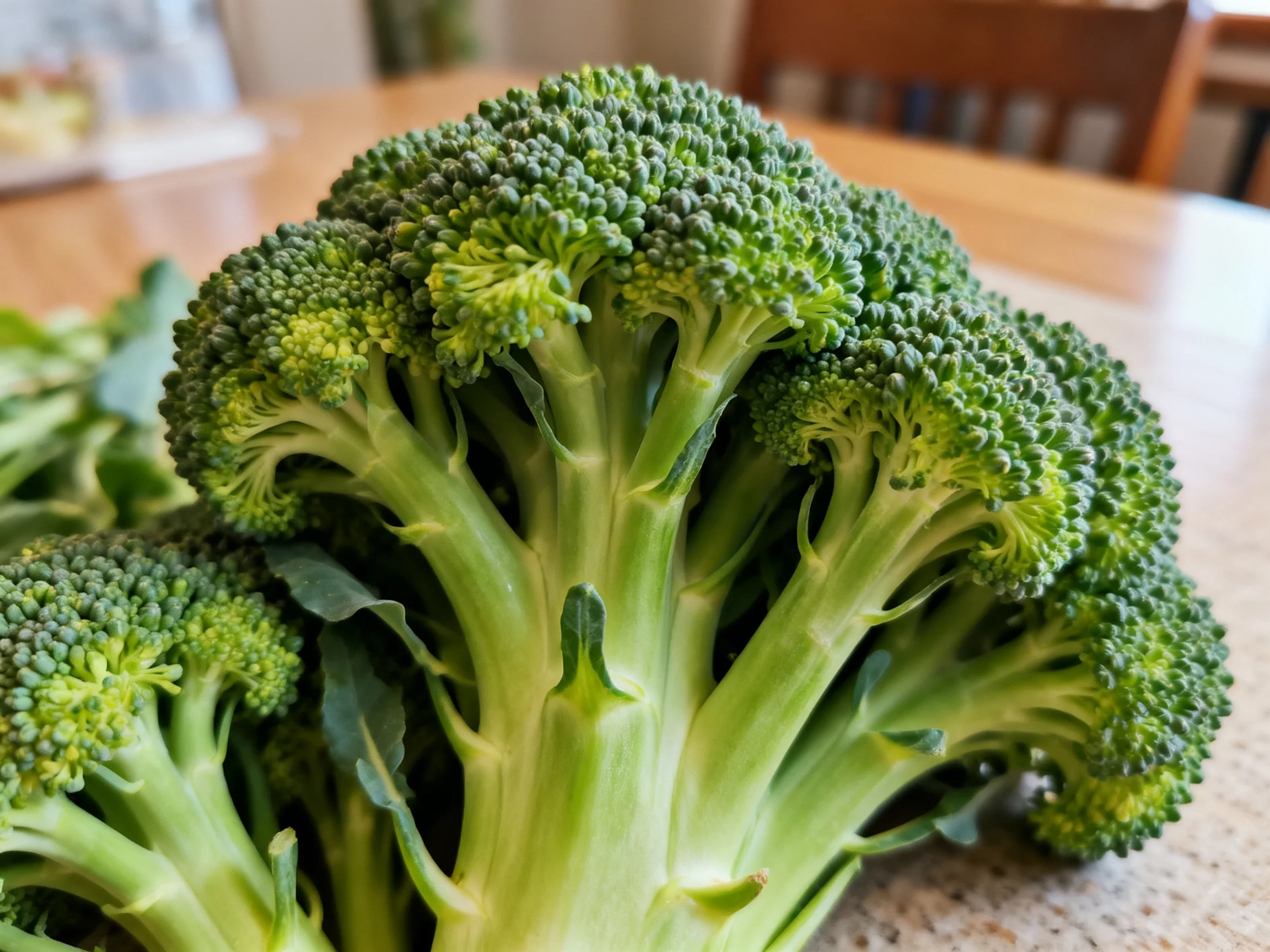 Fresh broccoli florets arranged on a kitchen countertop