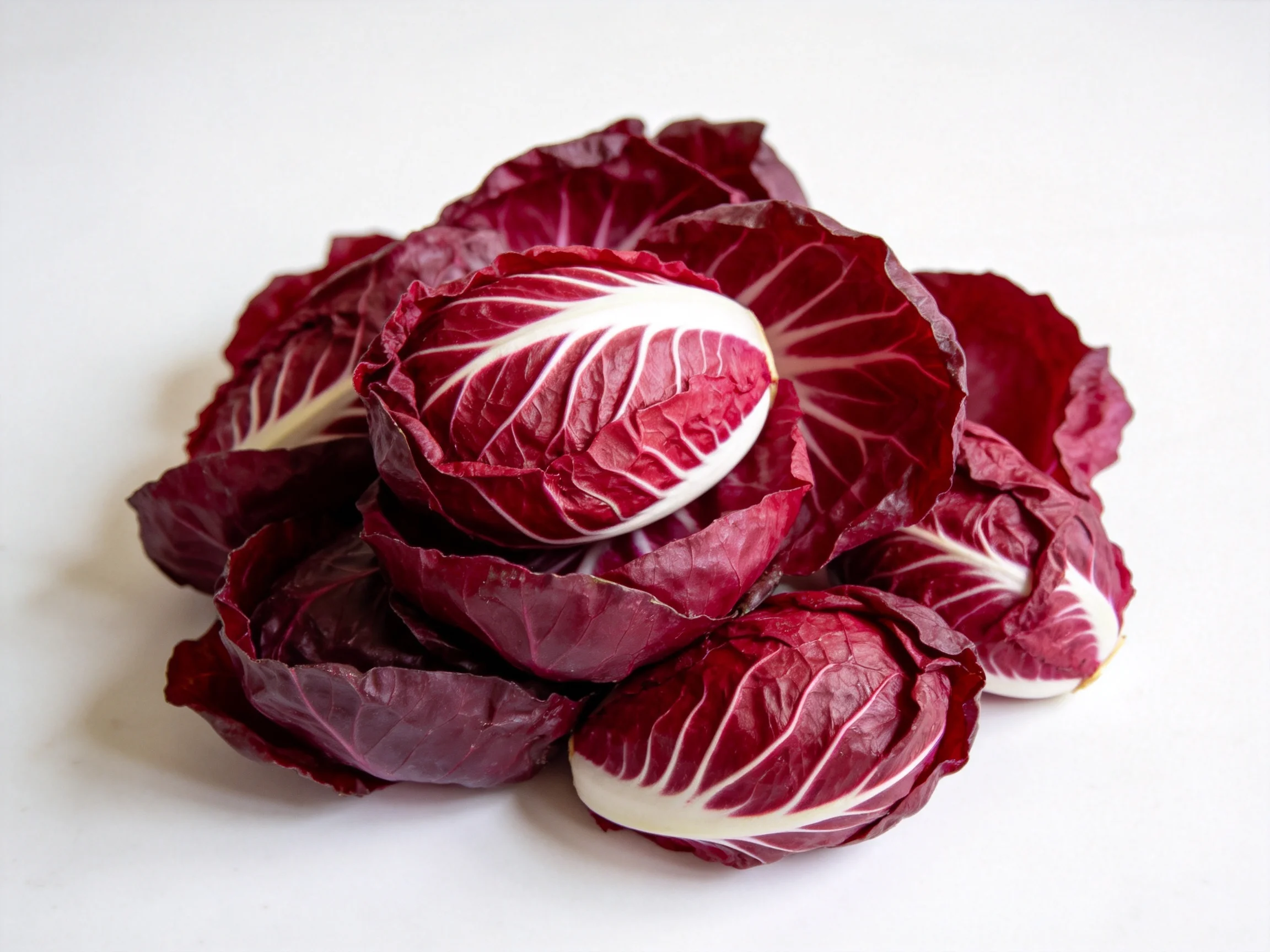 Fresh bunch of radicchio with deep burgundy and white veined leaves