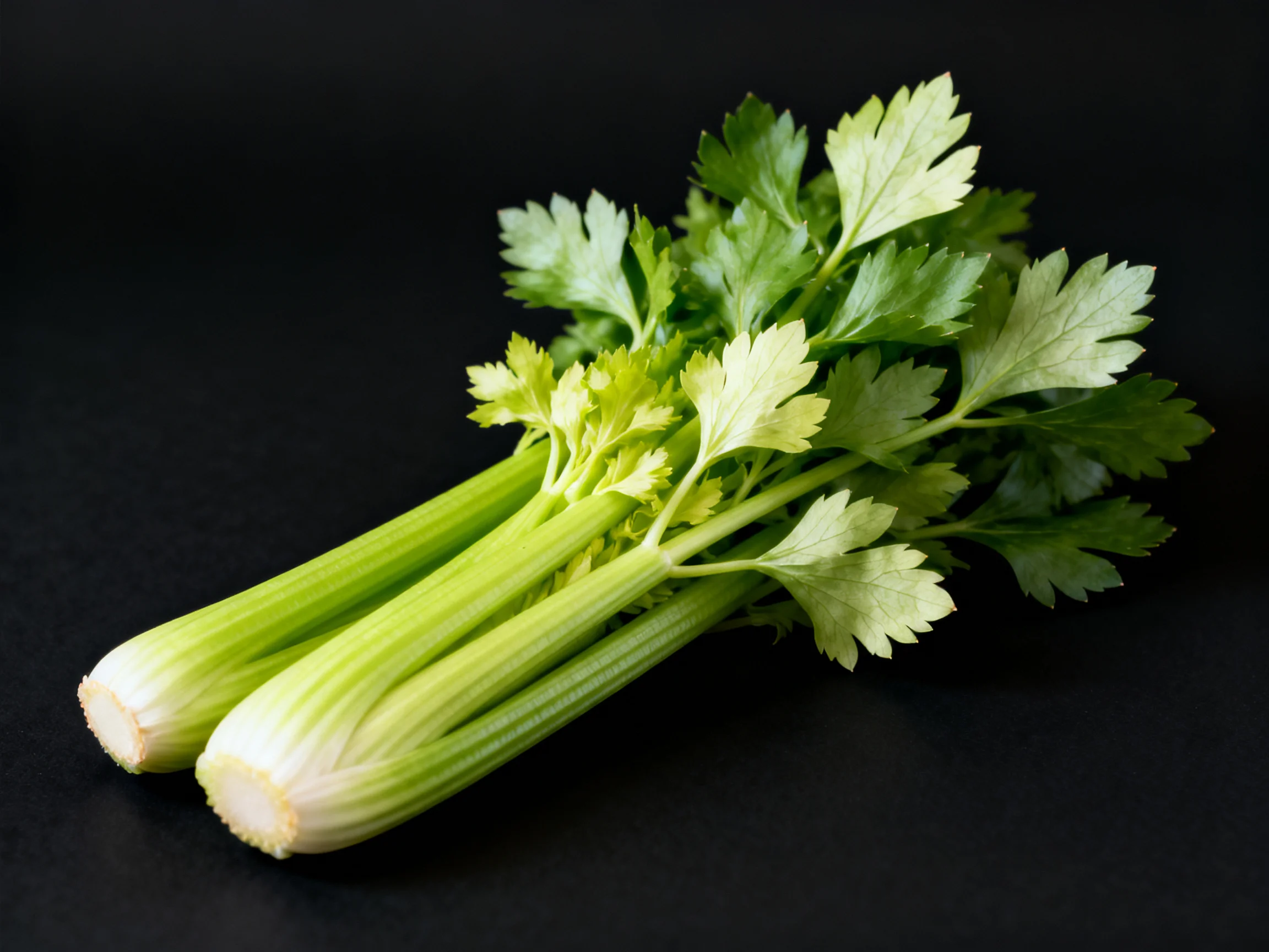 Fresh celery bunch with vibrant green stalks and leafy tops against dark backdrop