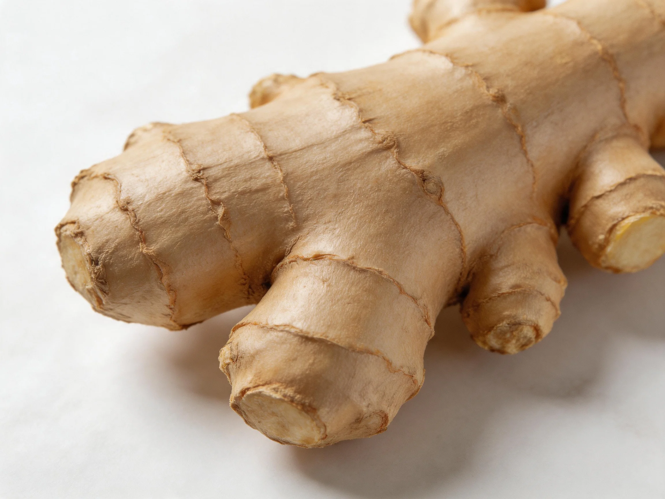 Fresh ginger rhizome with earthy brown skin and distinct segmentations