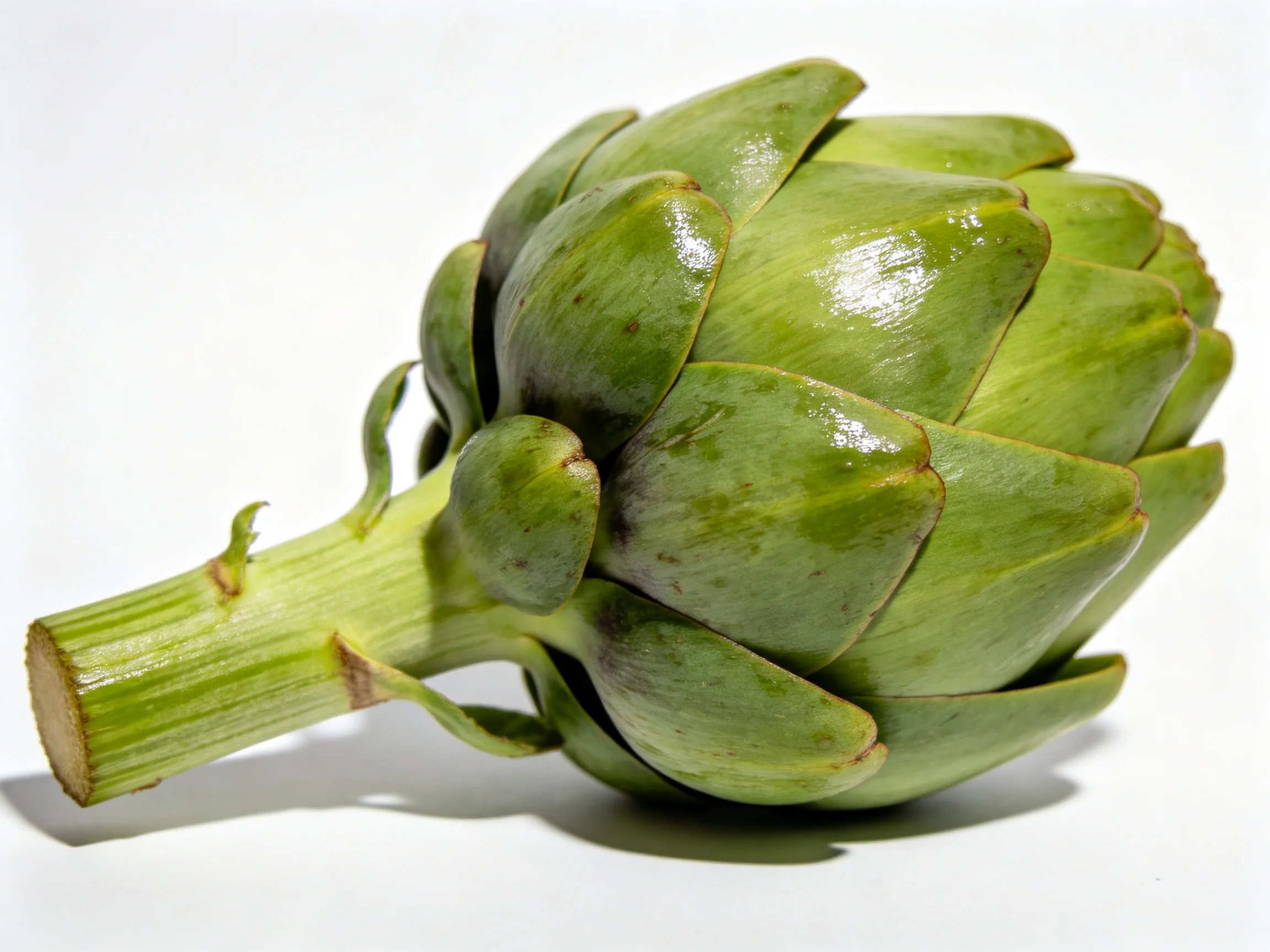 Fresh green artichoke with glossy textured leaves