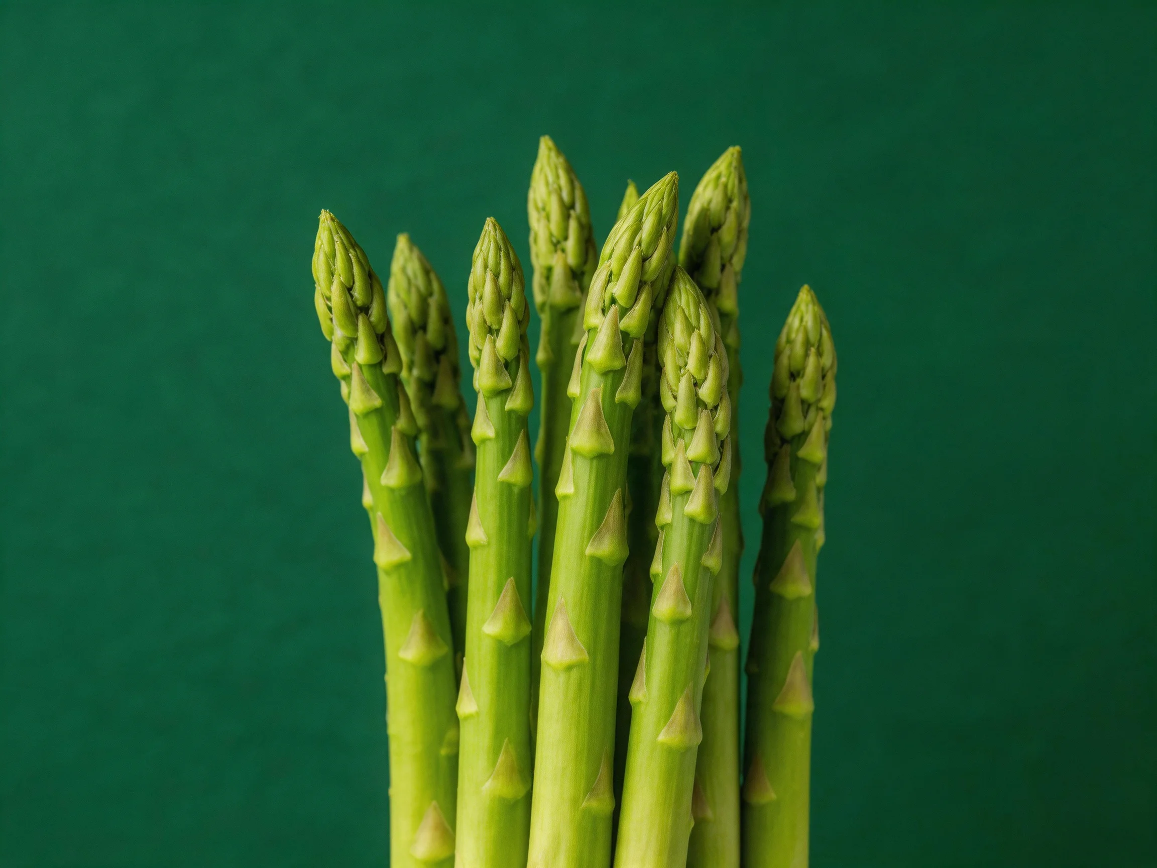 Fresh green asparagus spears arranged against a solid teal background