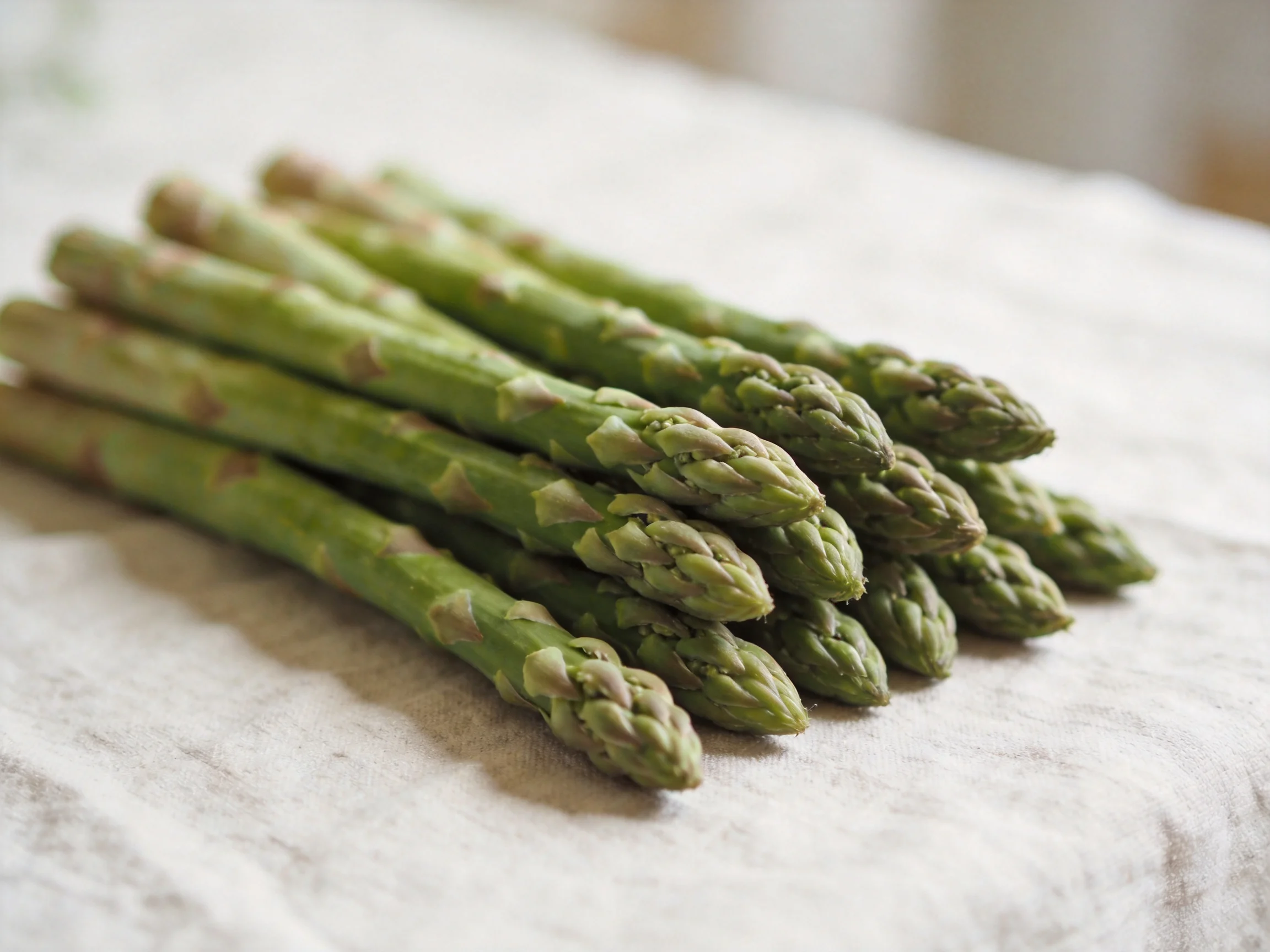 Fresh green asparagus spears arranged on a white cloth