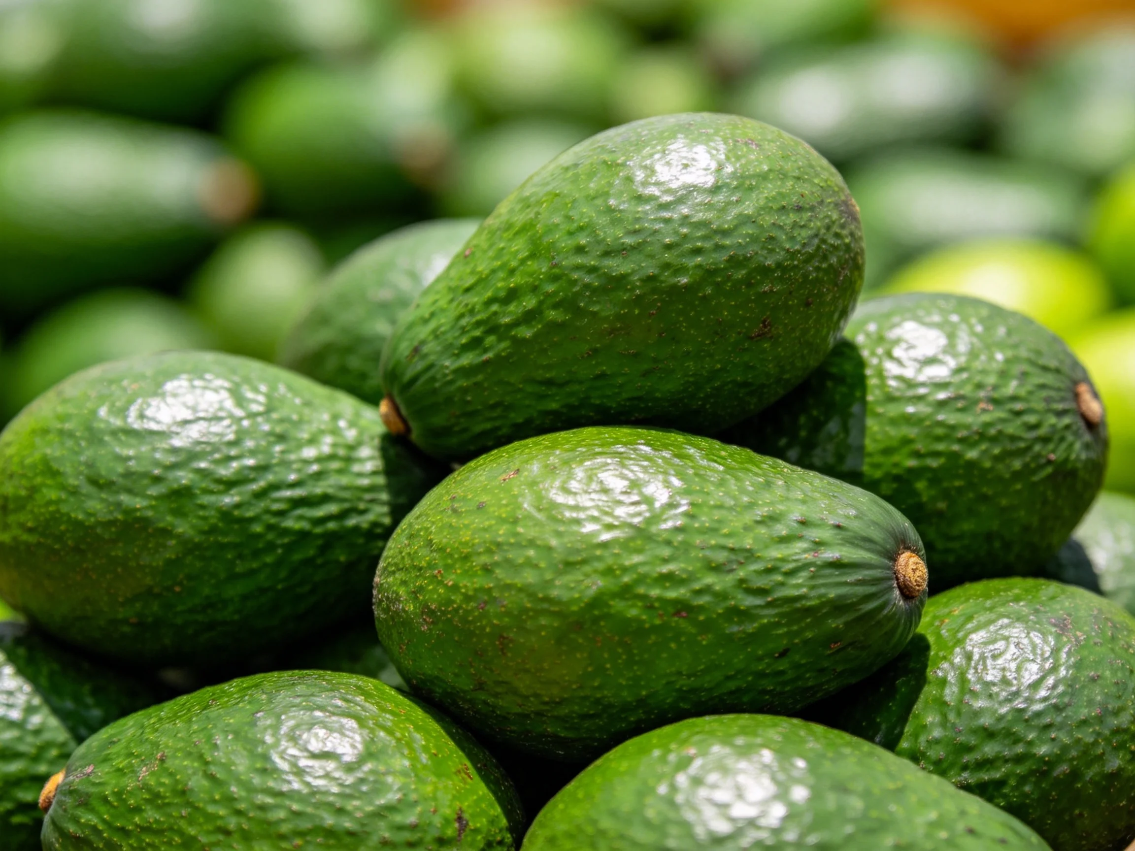Fresh green avocados densely stacked in a market display