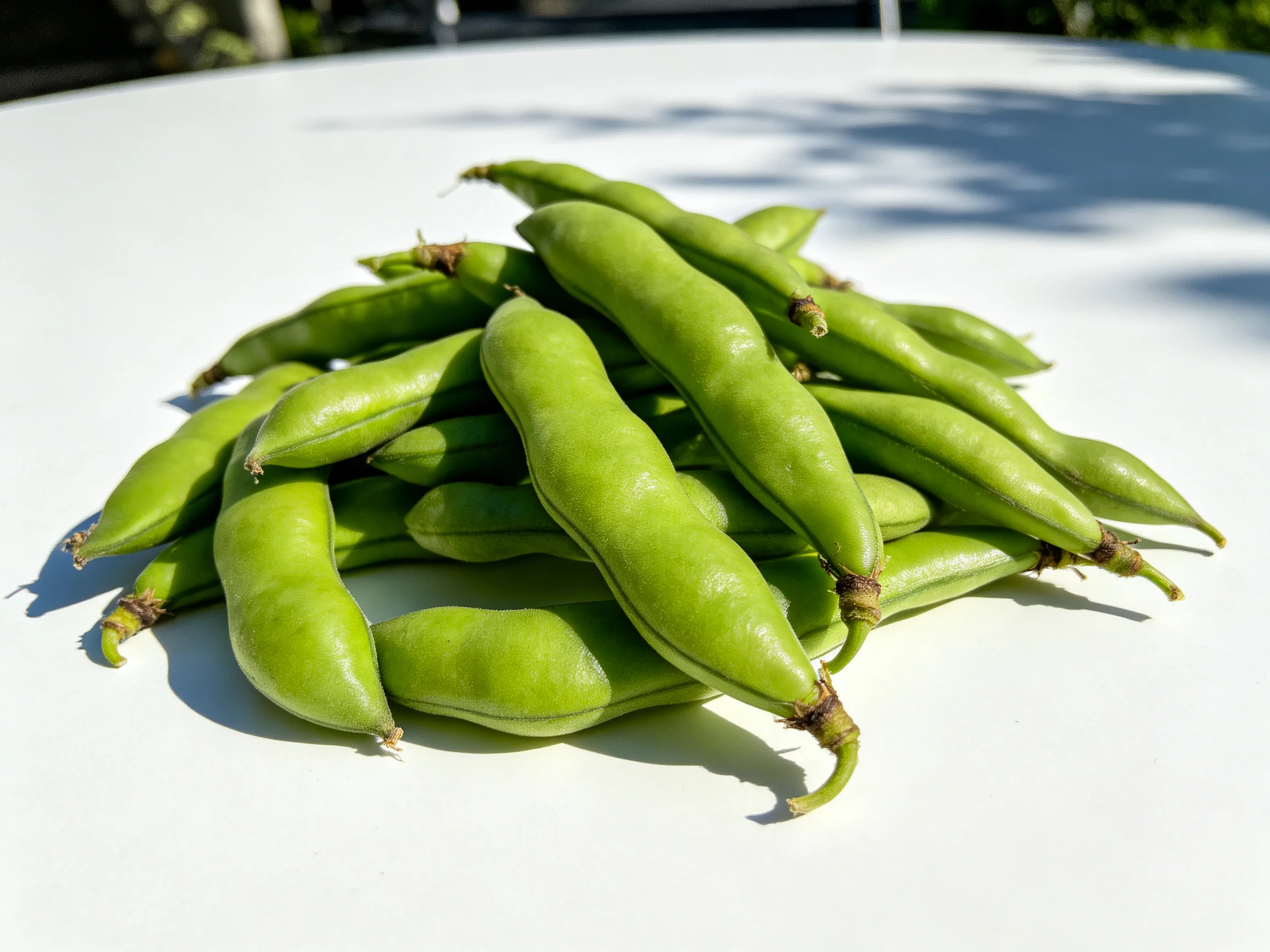 Fresh green broad bean pods piled on a white table