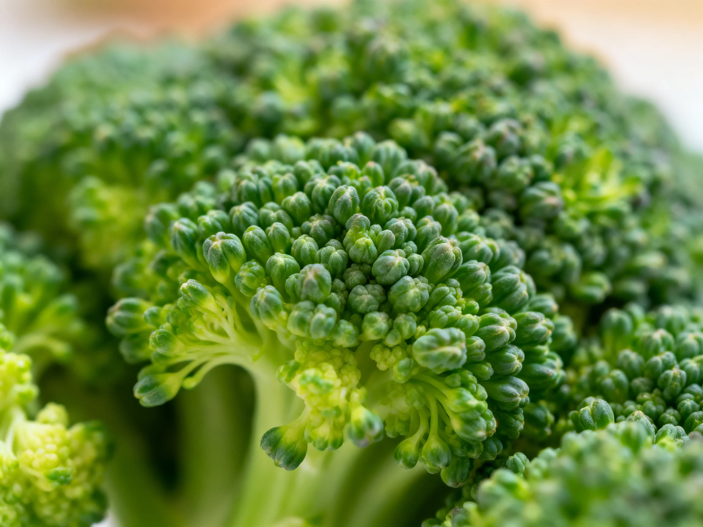 Fresh green broccoli florets with vibrant color and dense texture