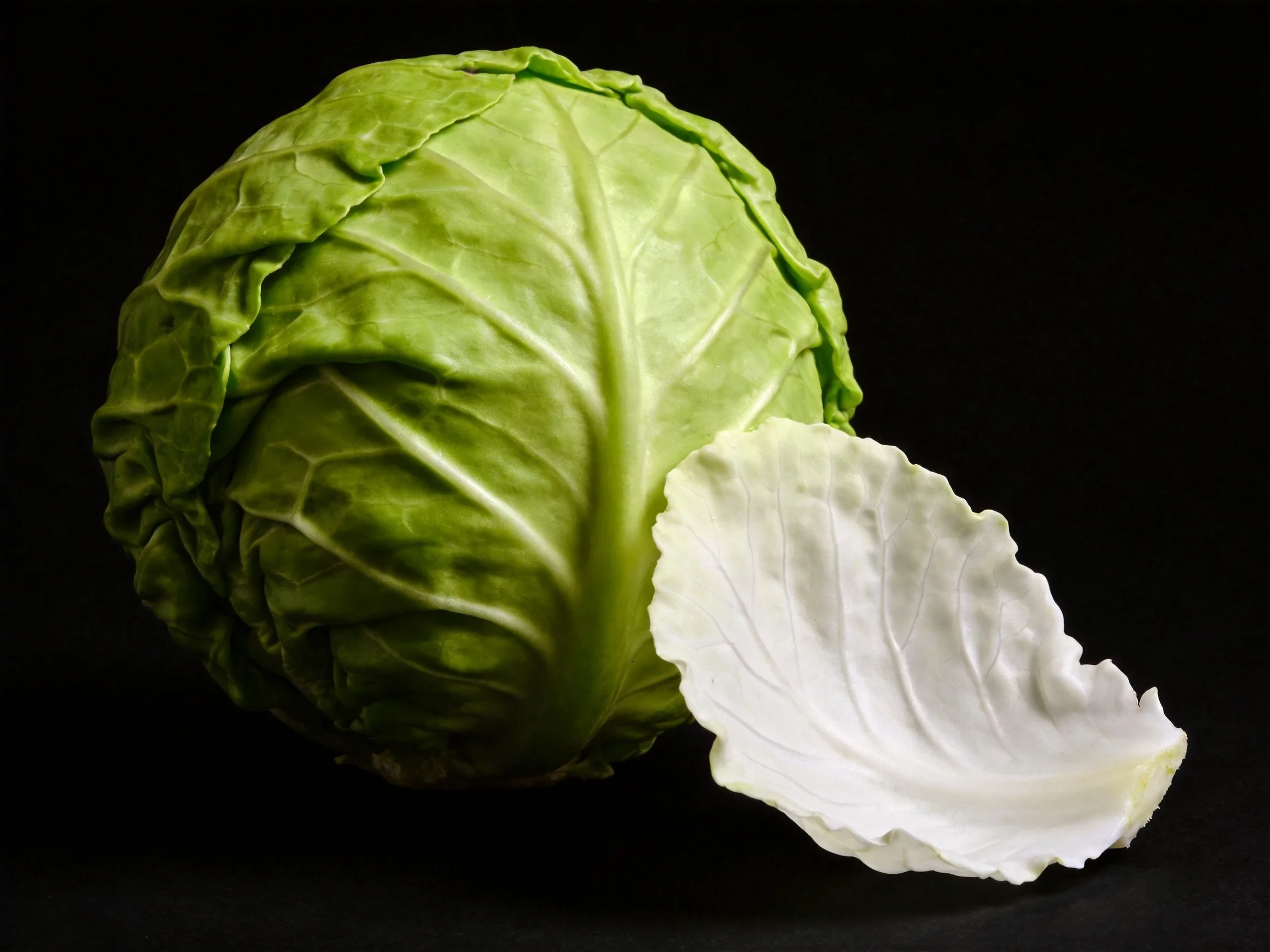 Fresh green cabbage with detached white leaf against black backdrop