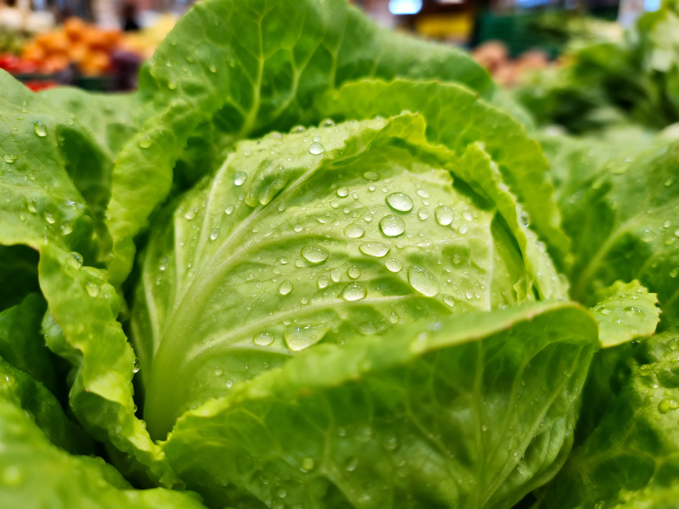 Fresh green cabbage with glistening water droplets in a market setting