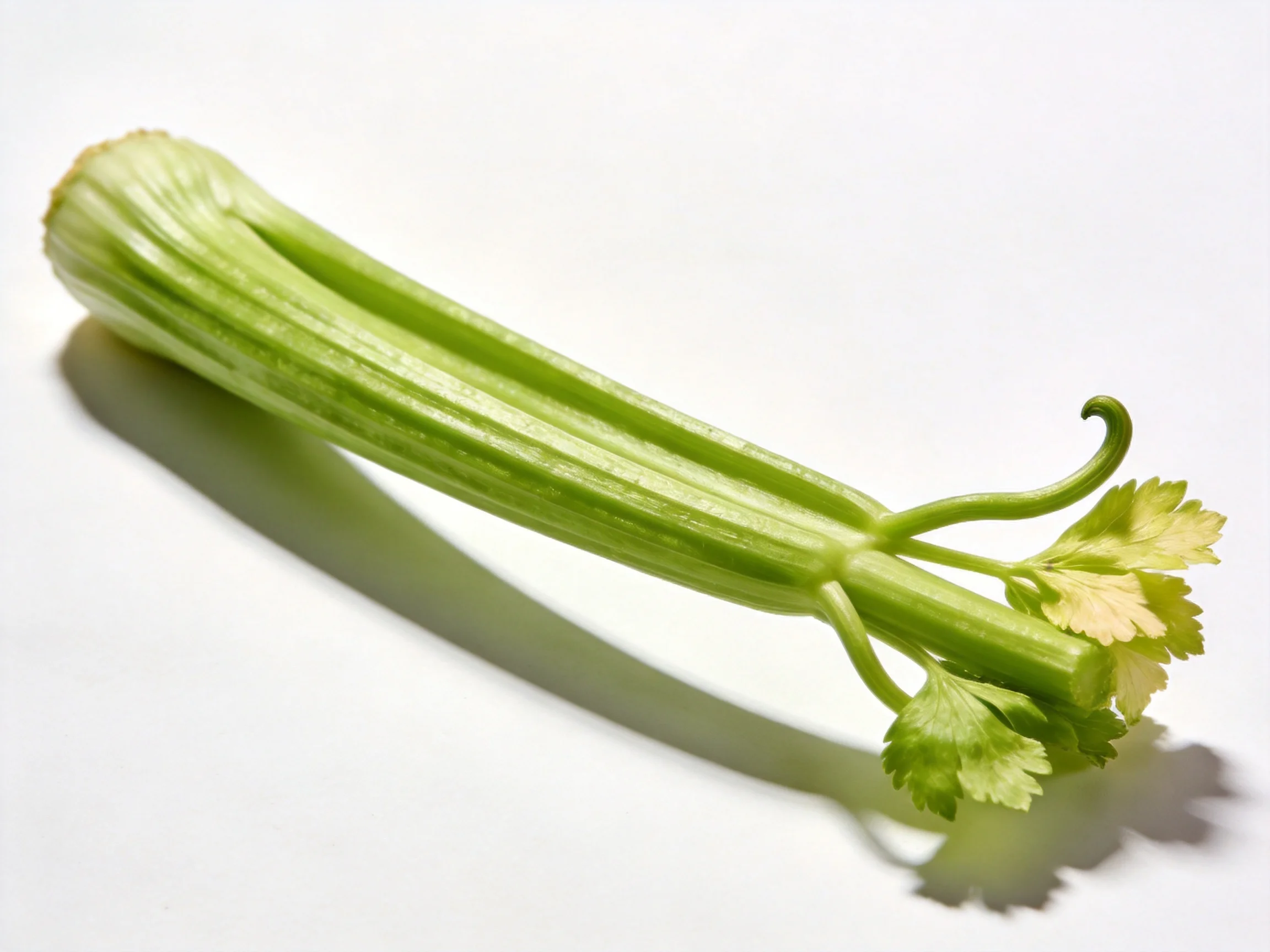 Fresh green celery stalk with leafy top on white surface