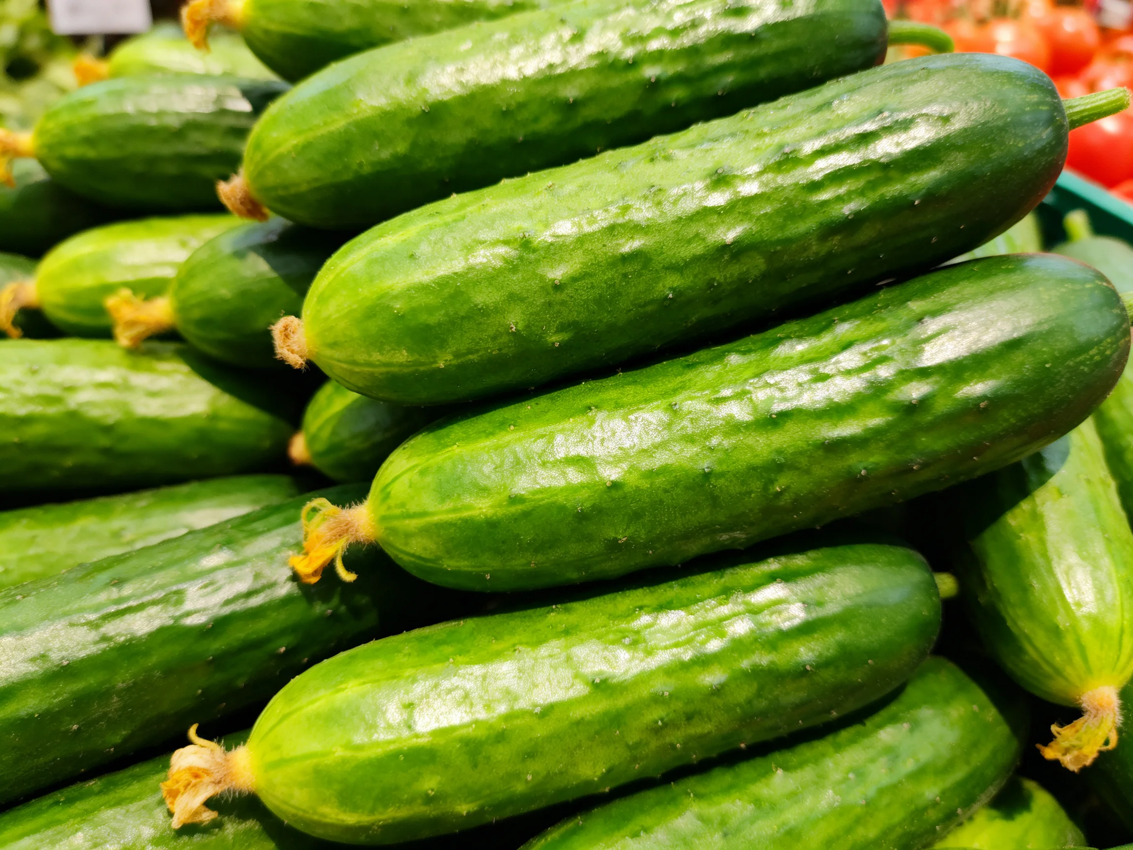 Fresh green cucumbers stacked in abundance at a market