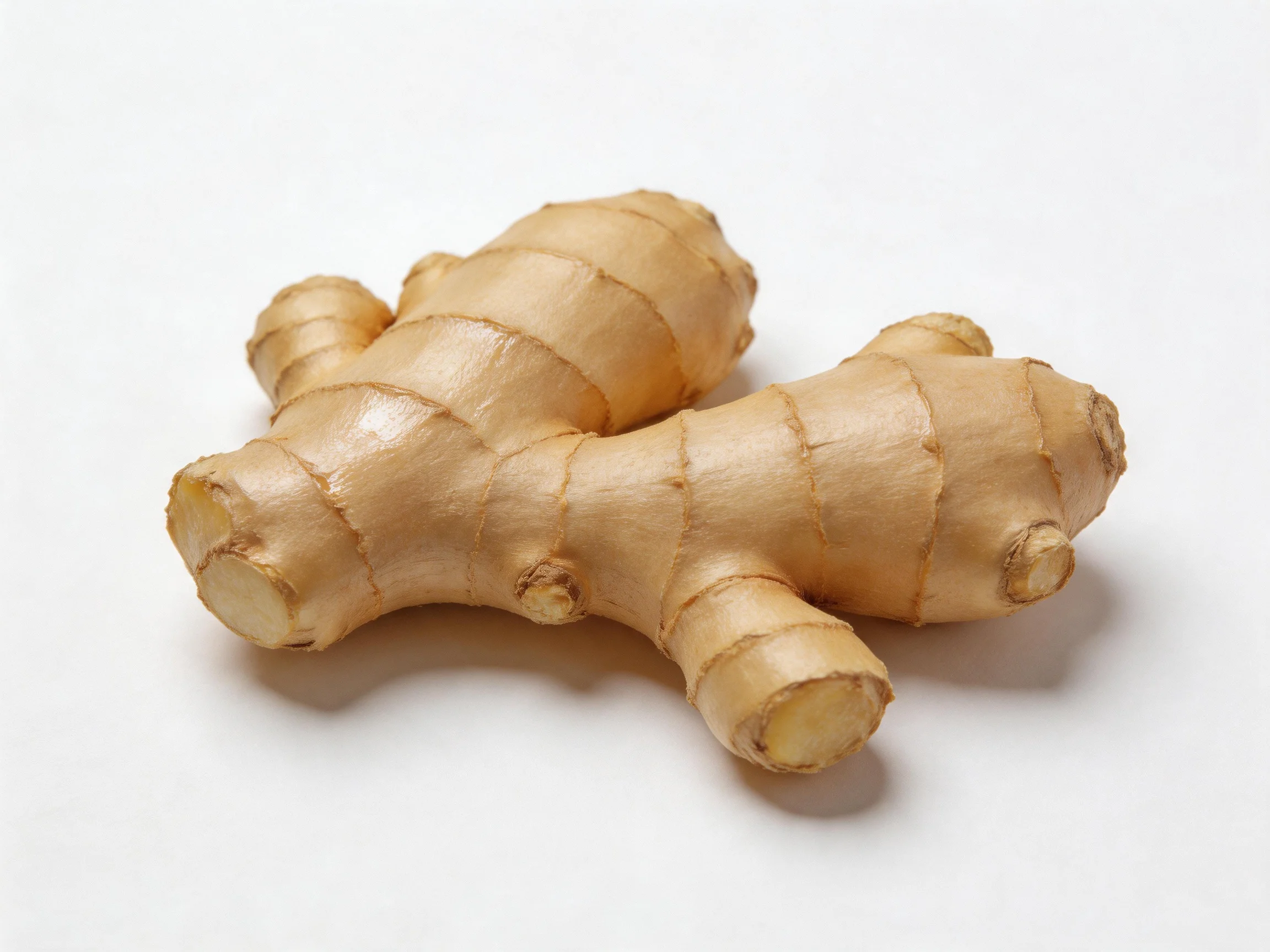 Fresh tan-colored ginger root clusters with smooth textured surfaces