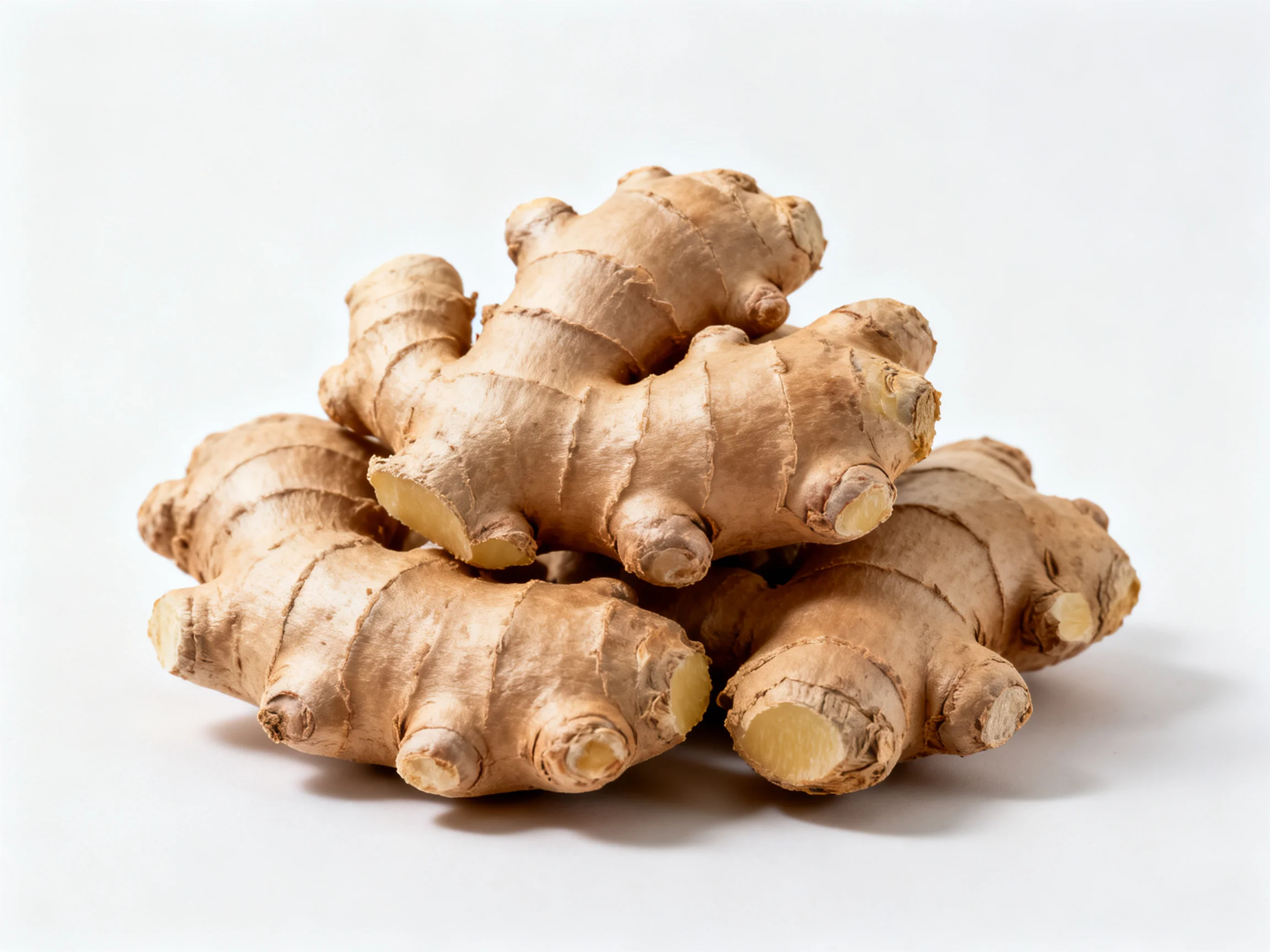 Freshly harvested ginger roots stacked on a plain white background