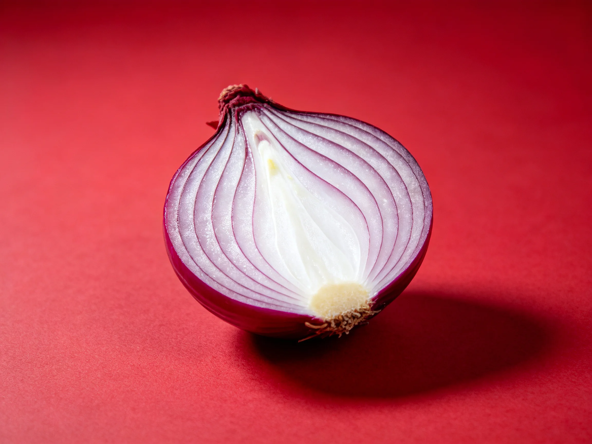 Halved red onion with layered purple and white slices on red background
