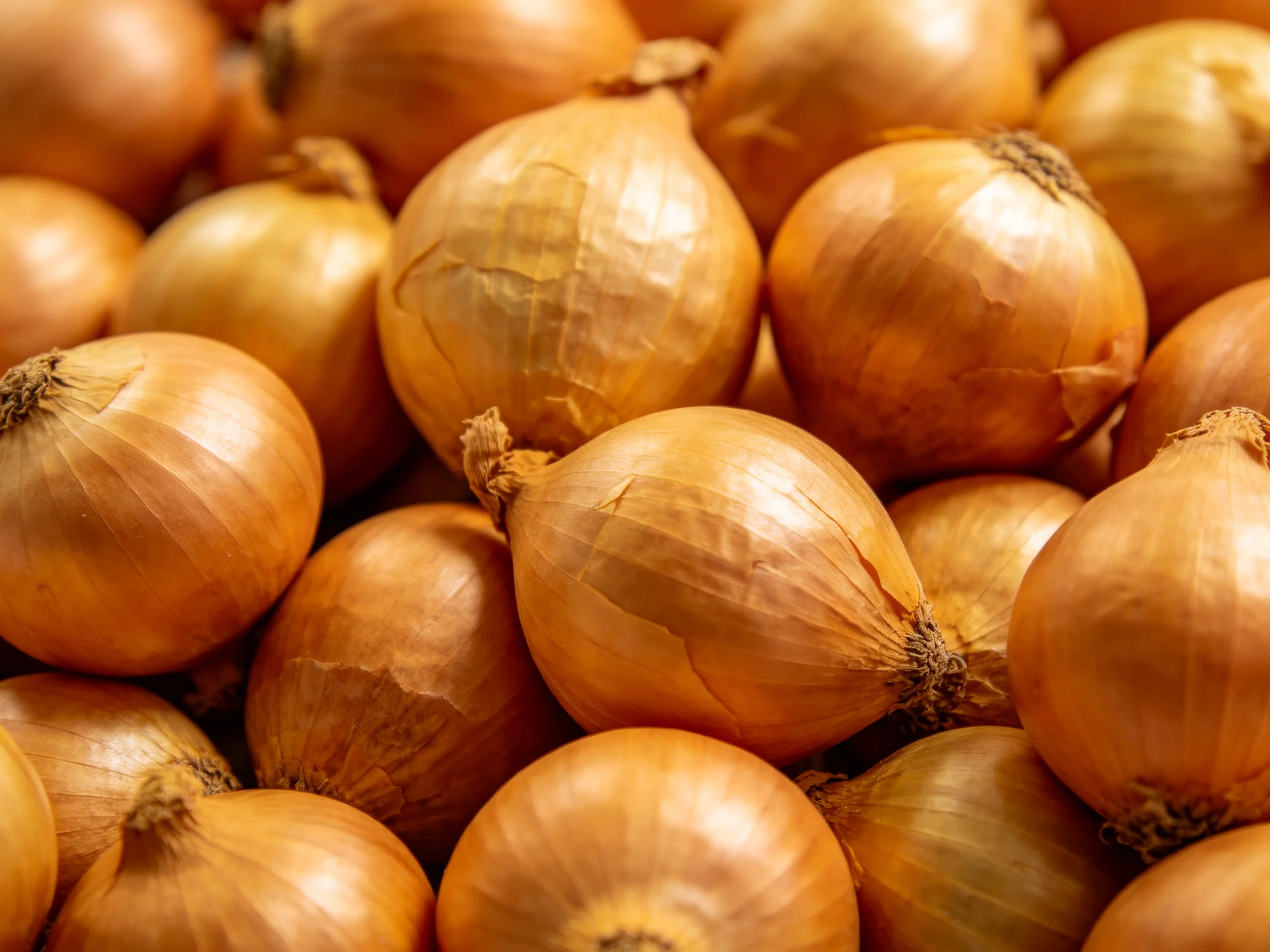 Many golden-brown onions stacked densely together