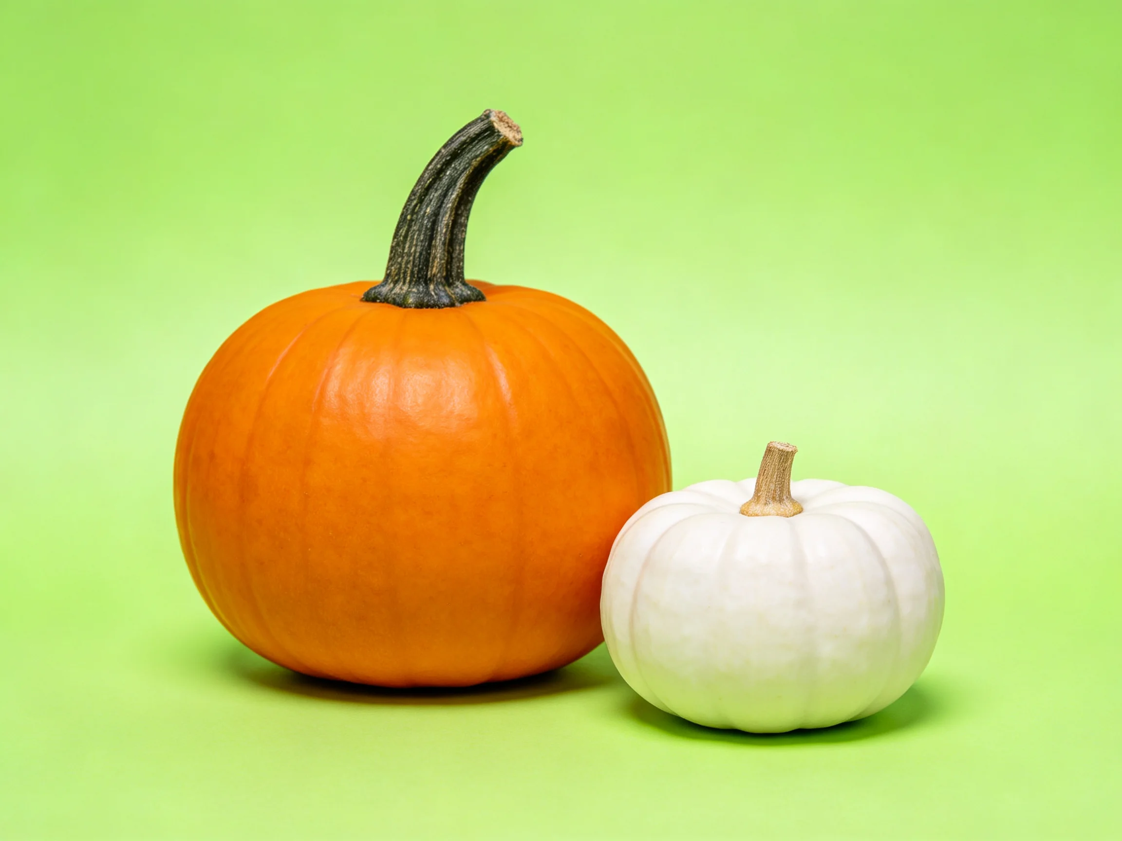 One large orange pumpkin and one small white pumpkin sit against a bright green backdrop