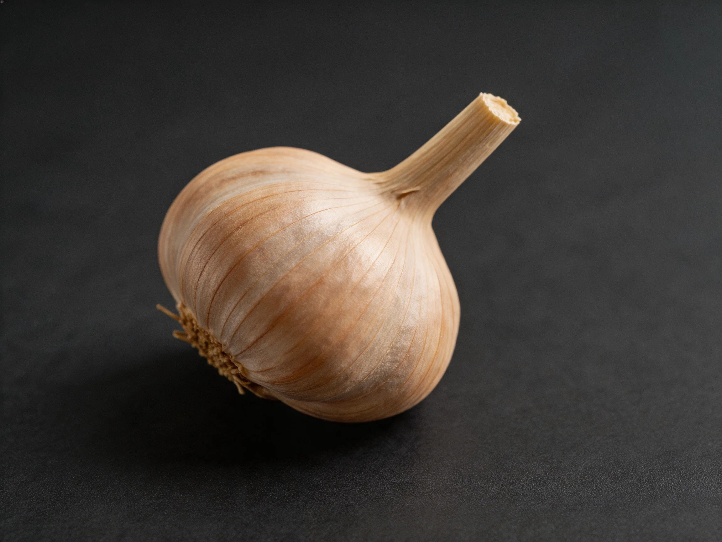 Single garlic bulb with light brown papery skin on dark surface