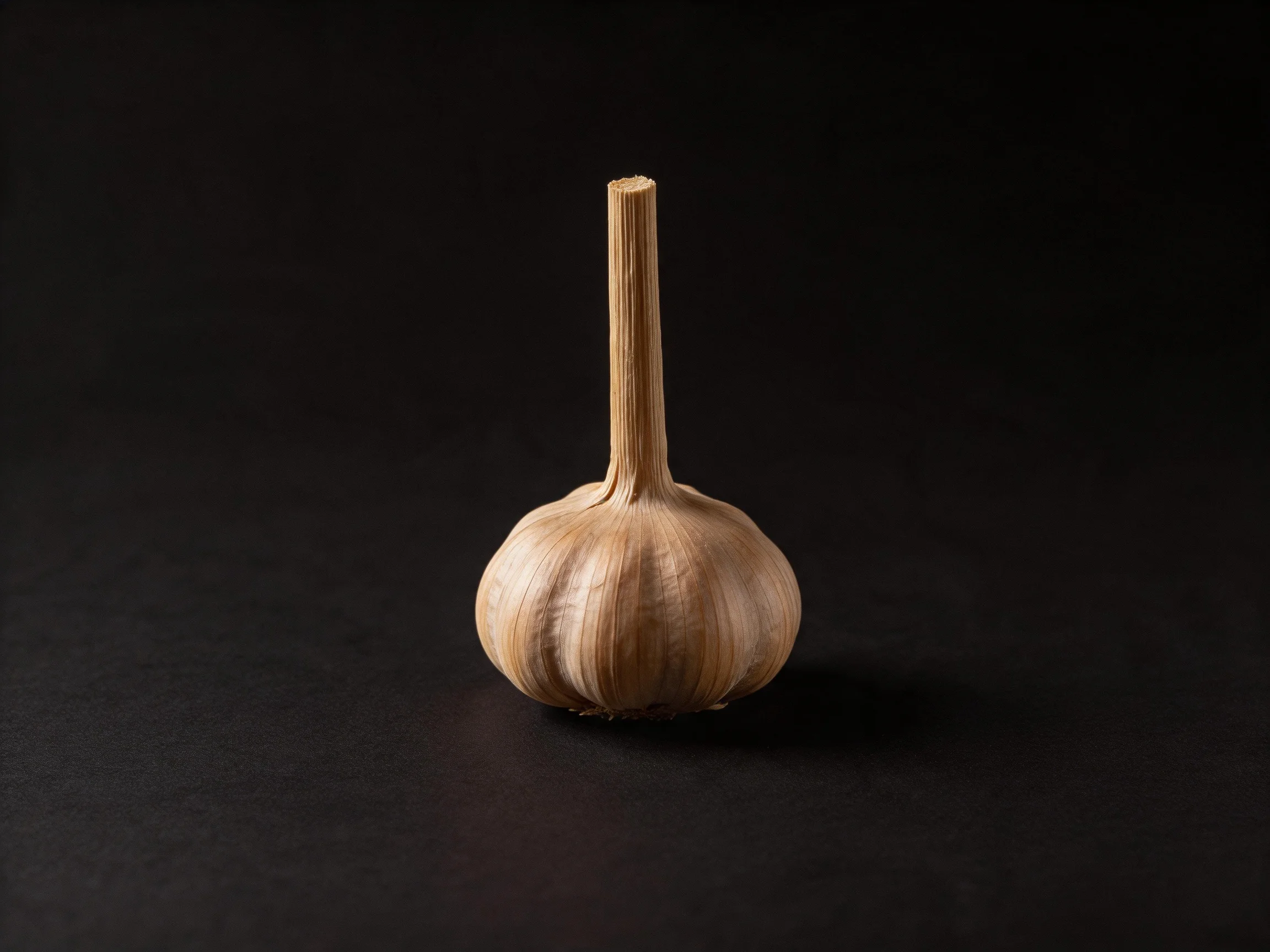 Single garlic bulb with long stem on solid black background