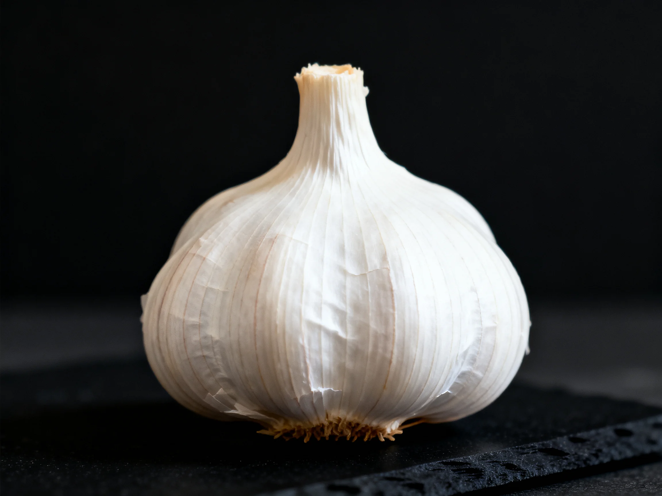 Single large garlic bulb with white papery layers on dark surface