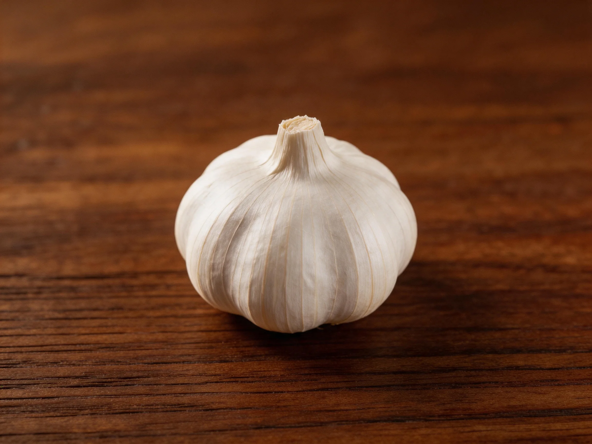 Single white garlic bulb on polished brown wooden surface