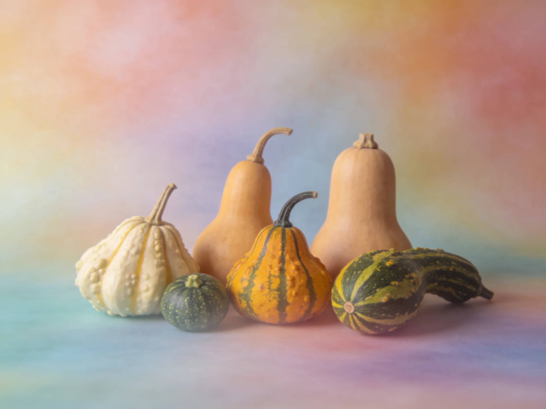 Six assorted gourds and squashes display varied shapes, colors, and textures.