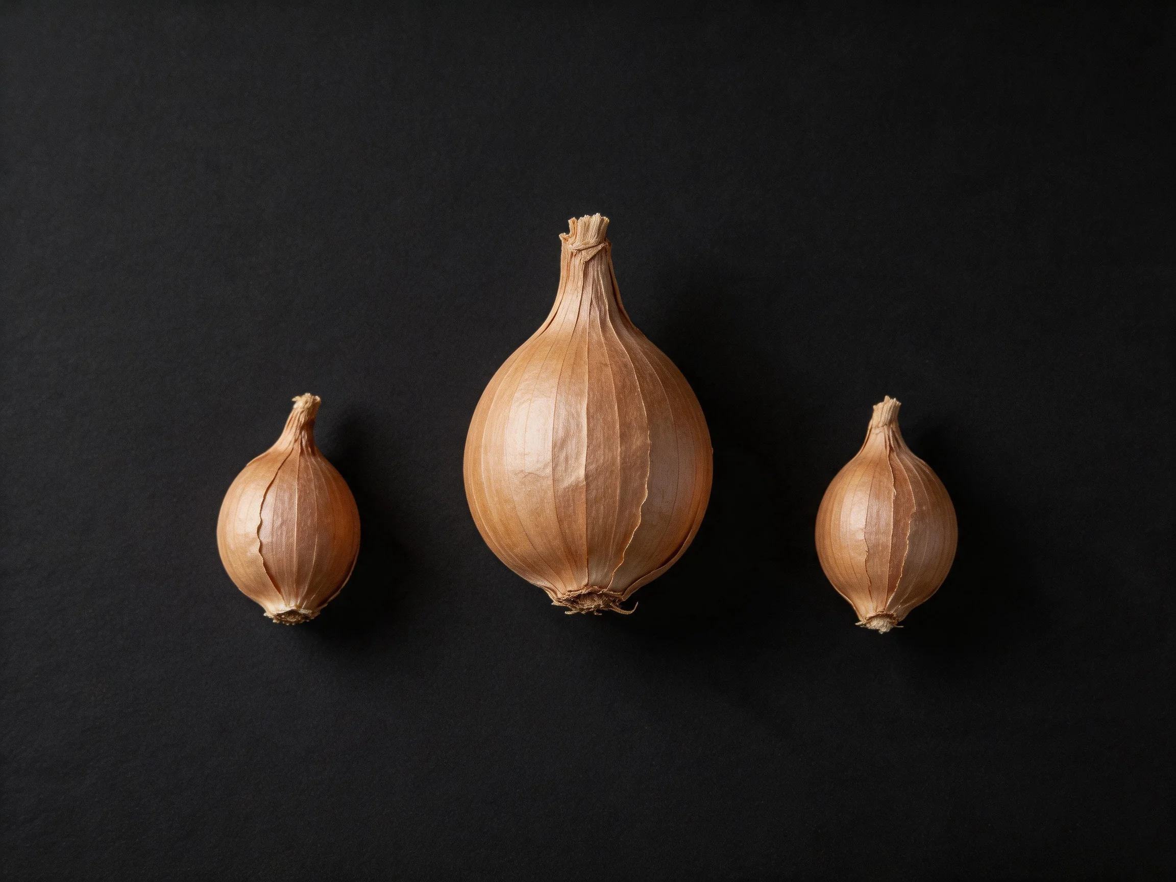 Three brown onions of varying sizes on a black surface