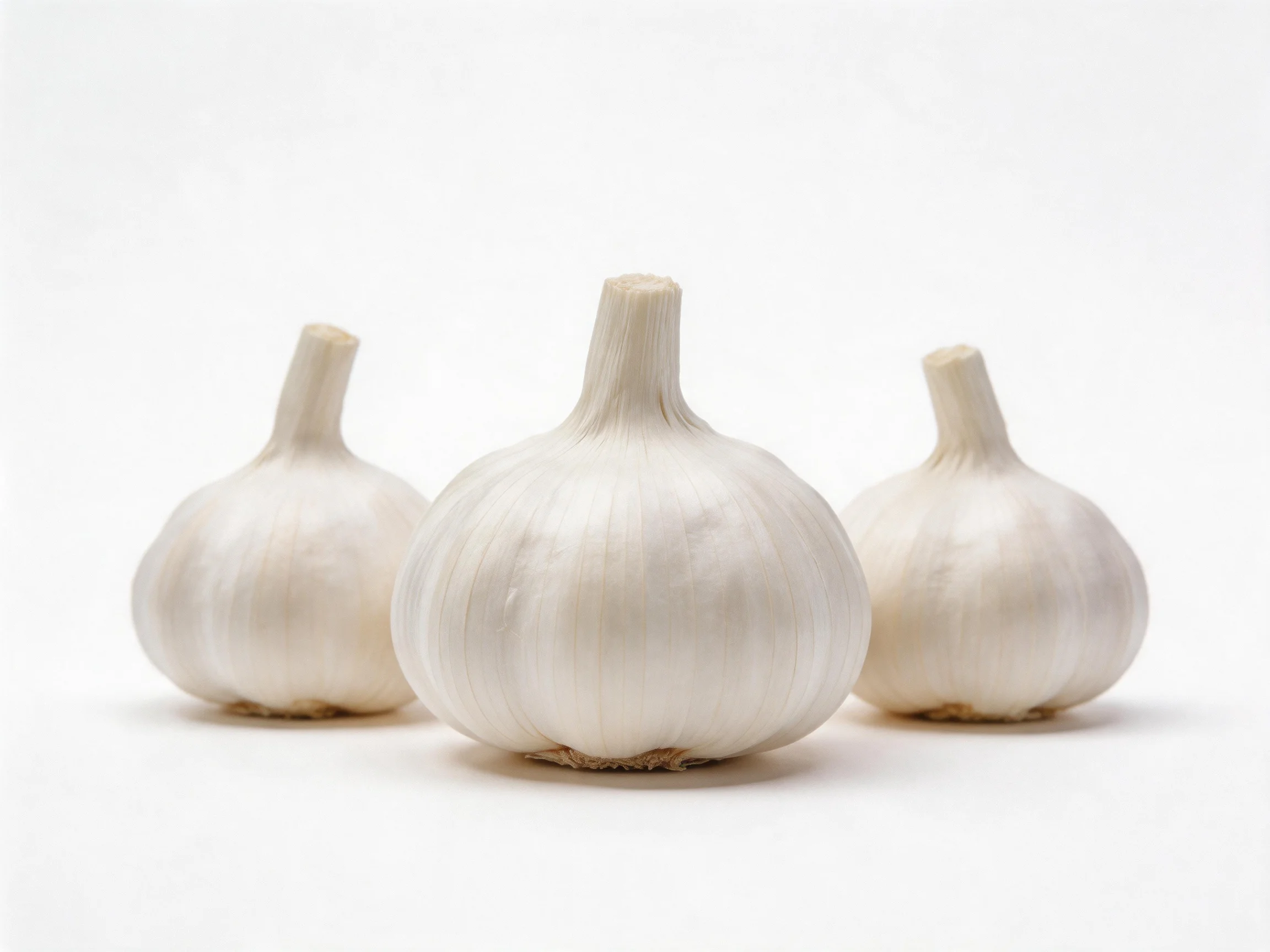 Three fresh garlic bulbs displayed against a plain white background