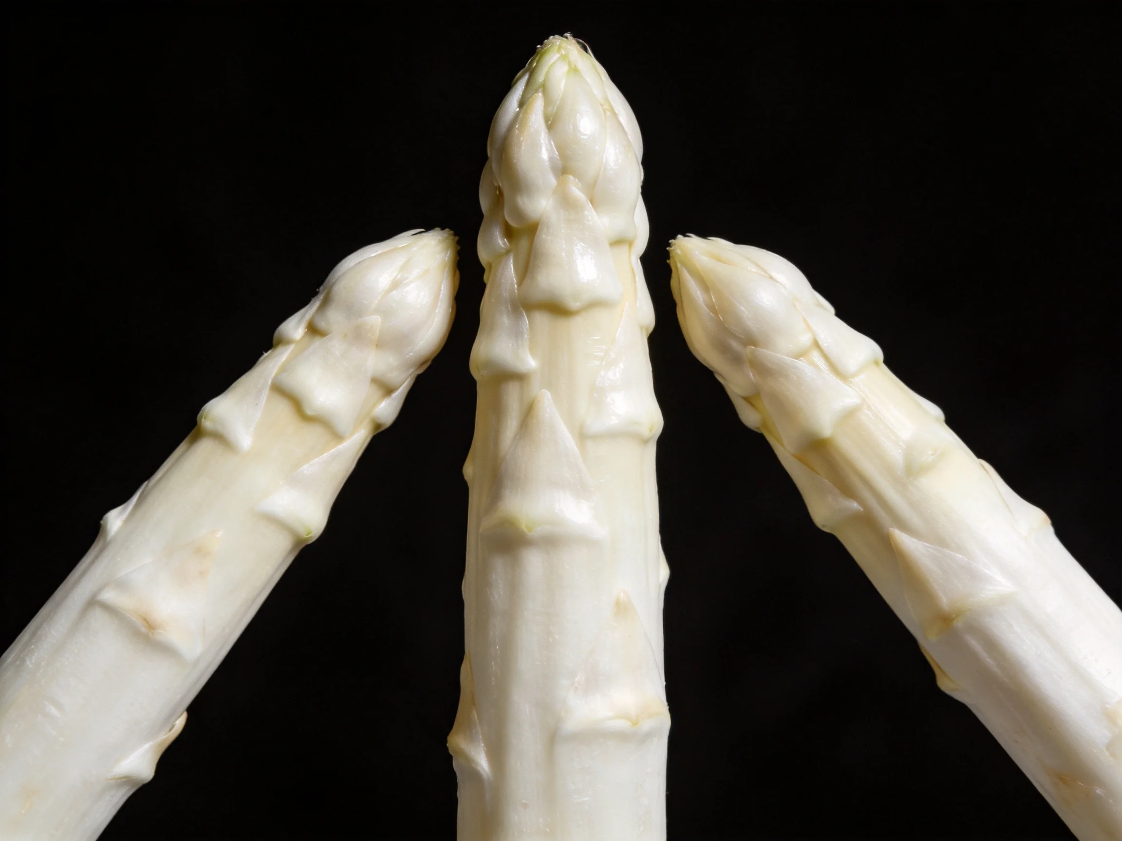 Three fresh white asparagus spears arranged symmetrically on a black background