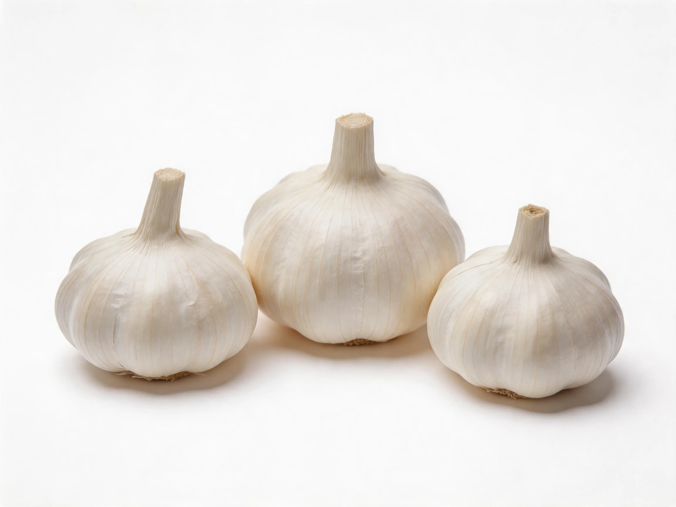 Three garlic bulbs with smooth papery skins