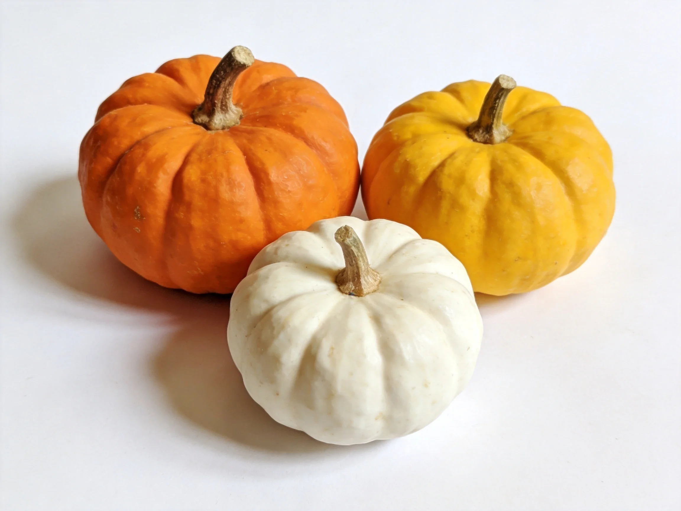 Three small pumpkins in orange, yellow, and white hues