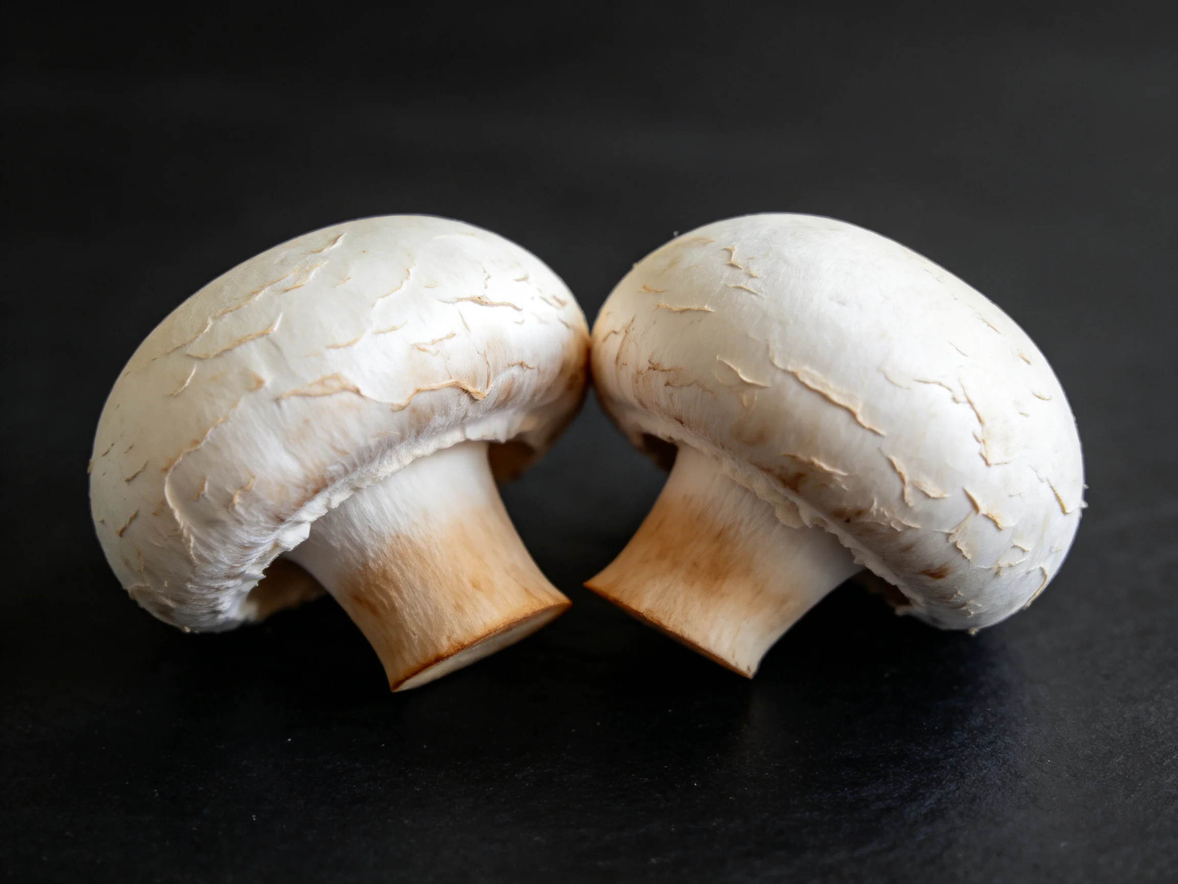 Two fresh button mushrooms with textured caps on a dark surface