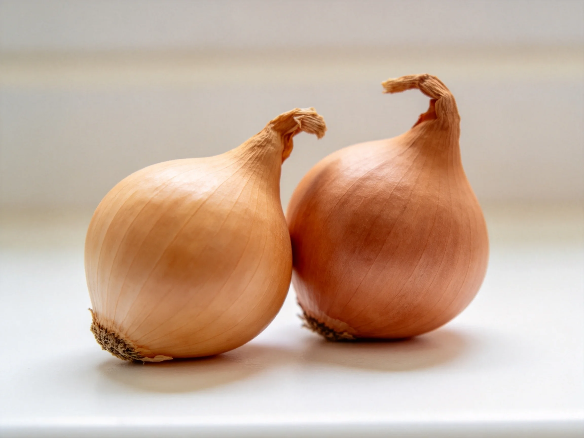 Two golden-brown onions with curved stems on a white surface