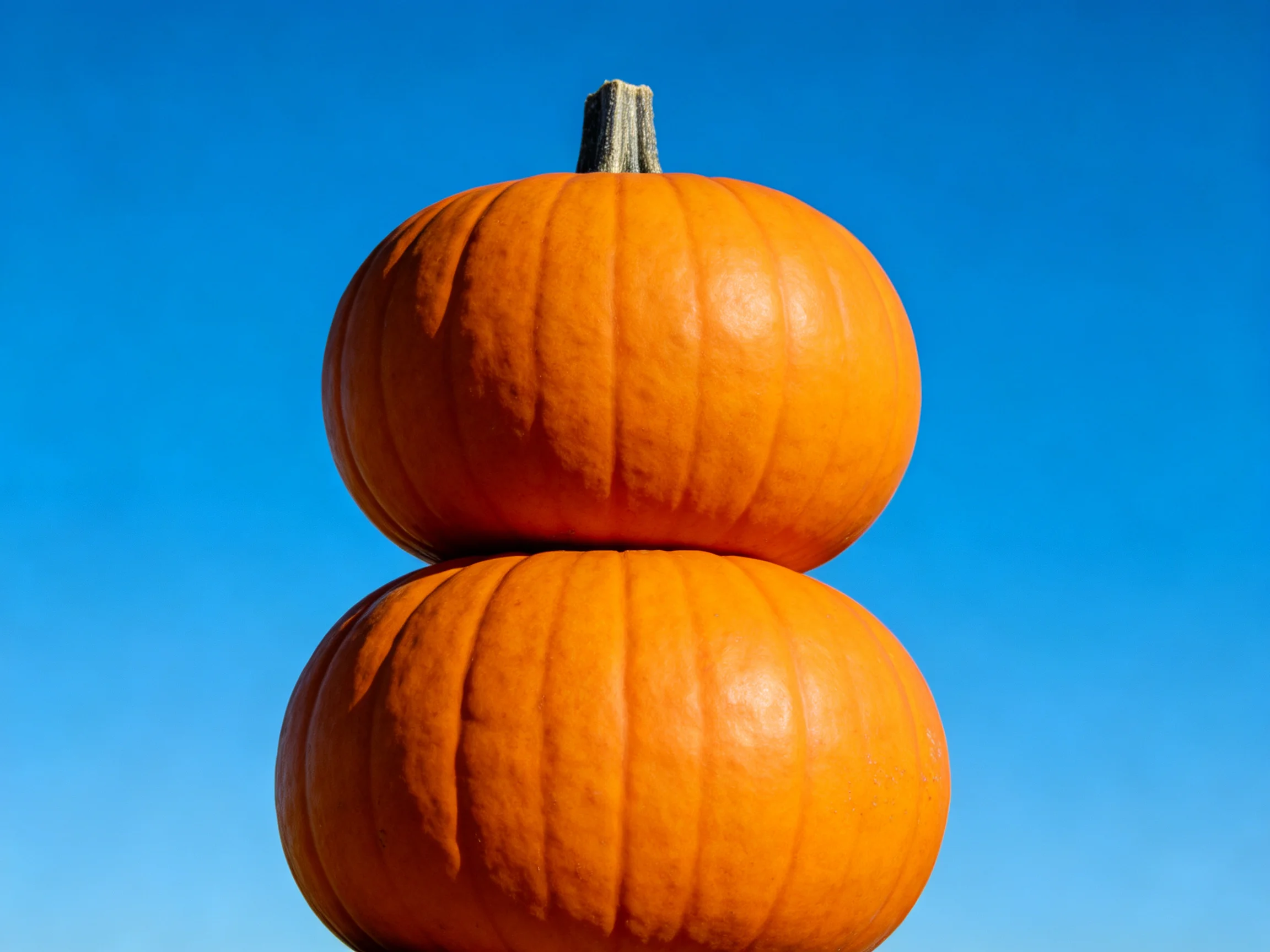 Two large orange pumpkins stacked vertically against a clear blue sky