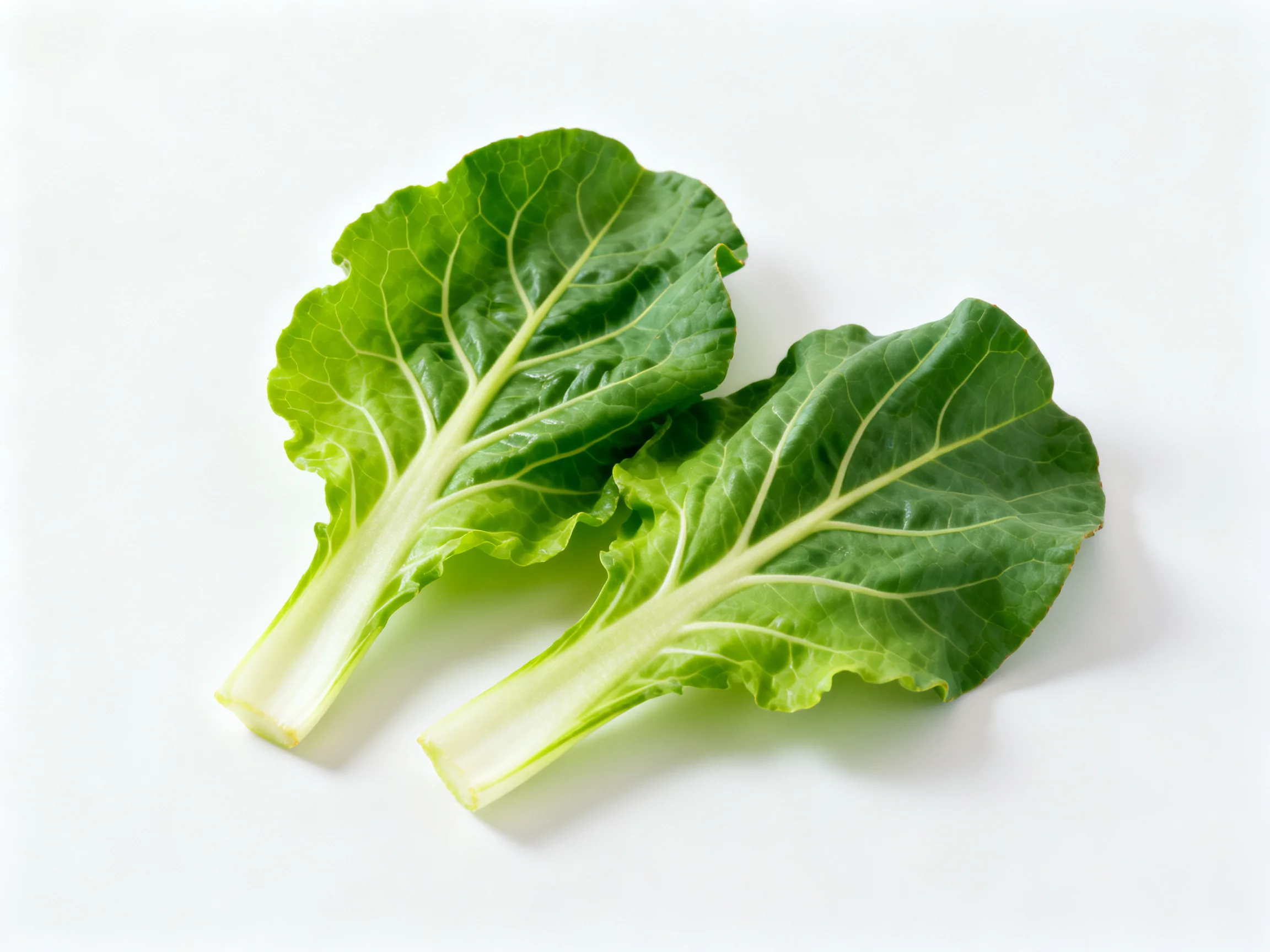 Two vibrant green leafy vegetable stalks arranged on a white backdrop