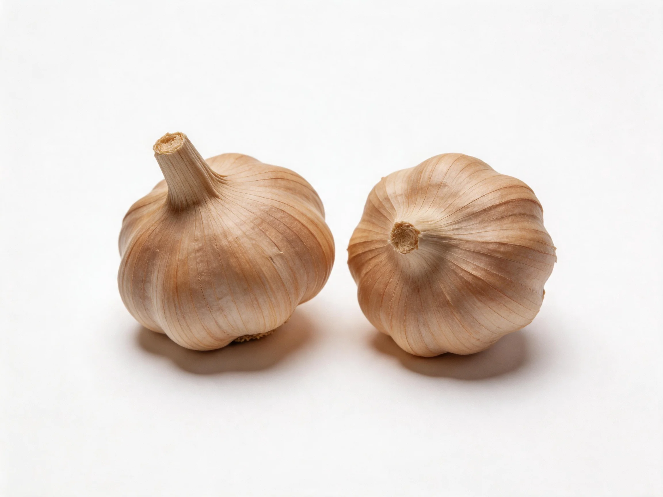 Two whole garlic bulbs with light brown papery skins