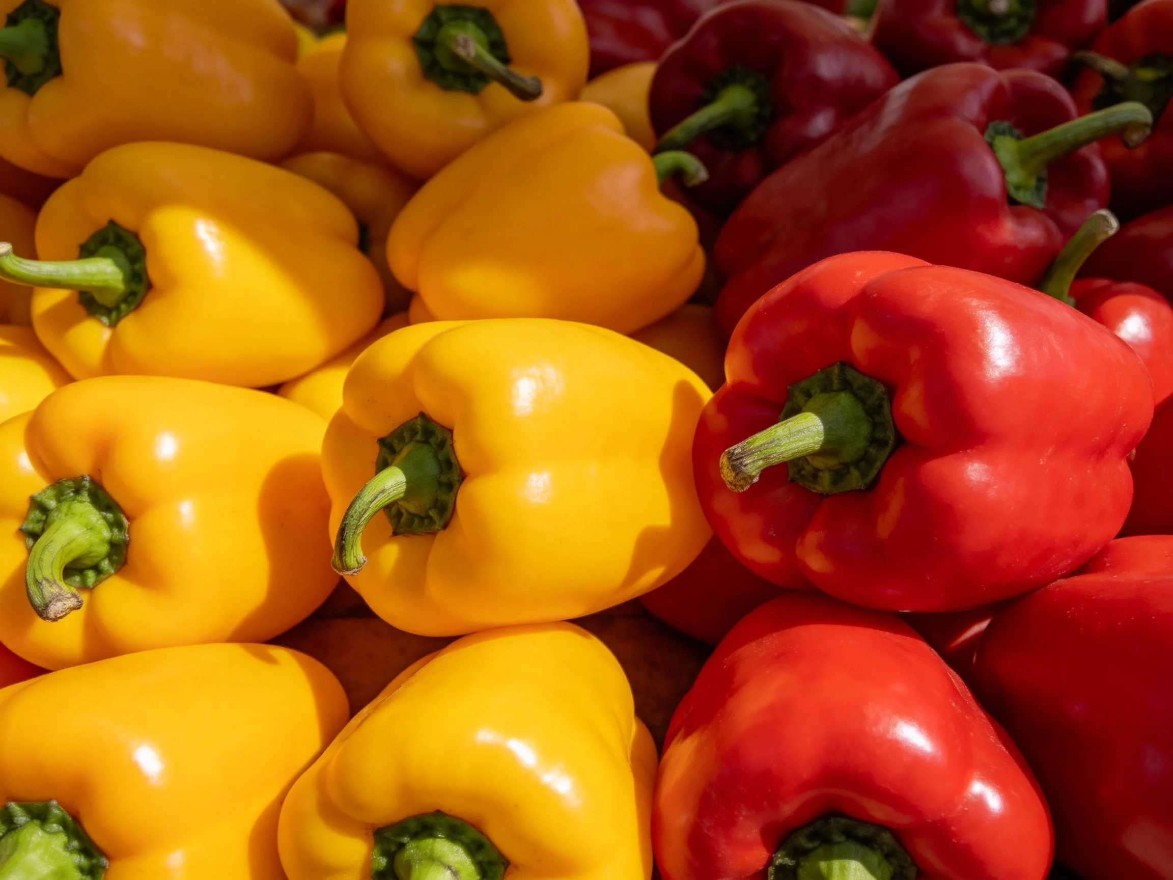 Vibrant arrangement of yellow and red bell peppers for market display