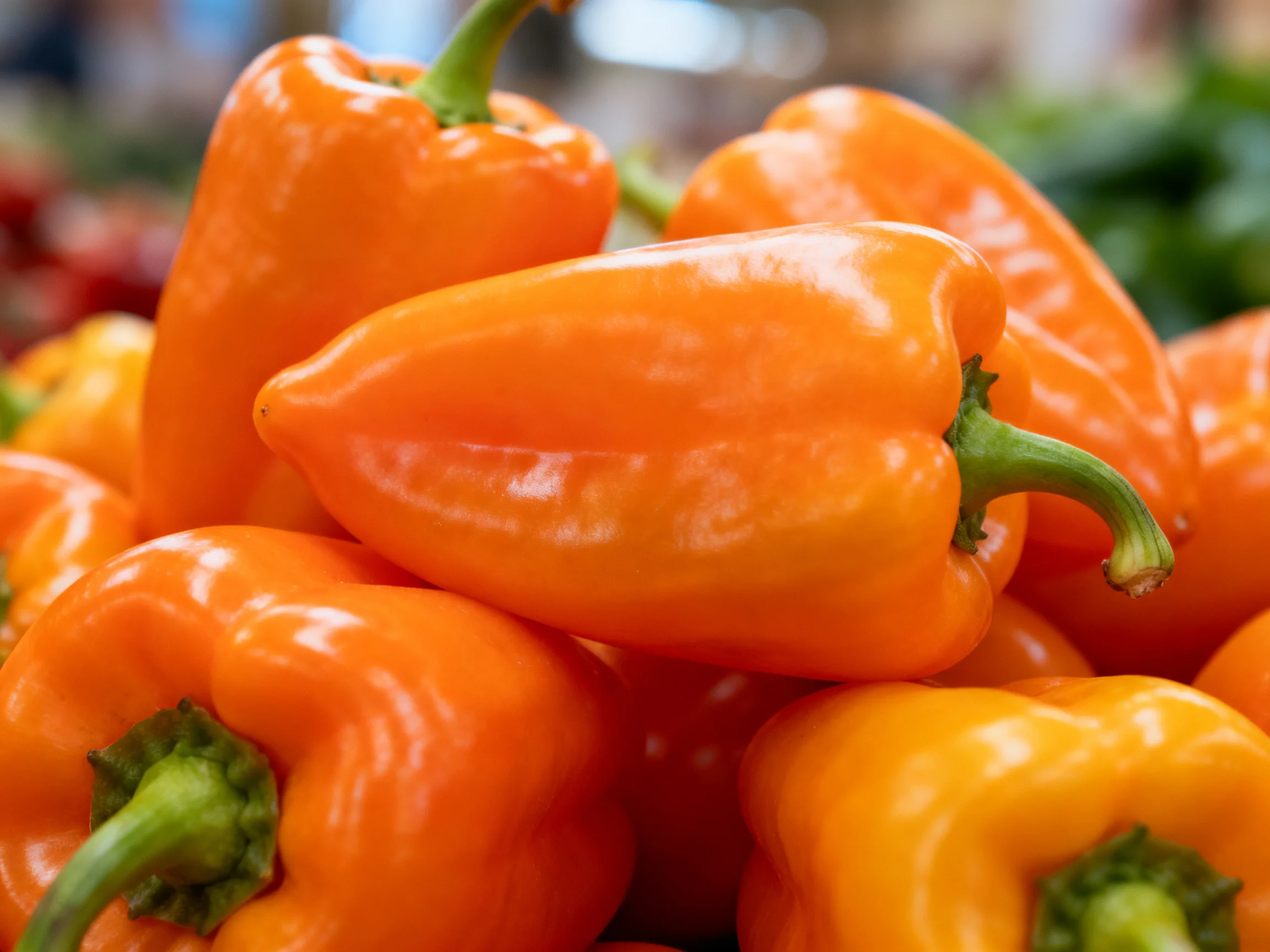 Vibrant pile of fresh orange bell peppers with green stems