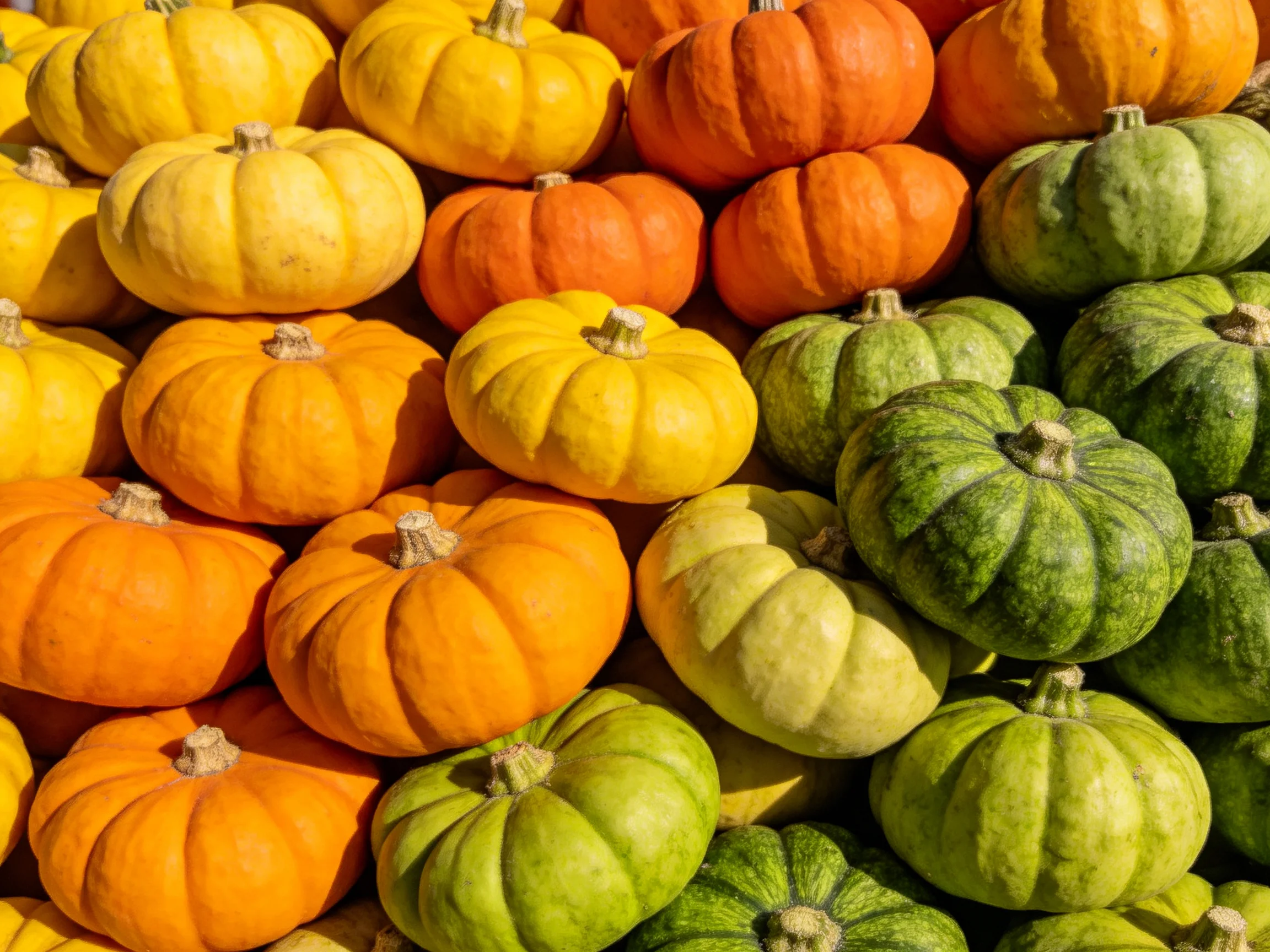 Vibrant stack of small pumpkins in yellow, orange, and green shades